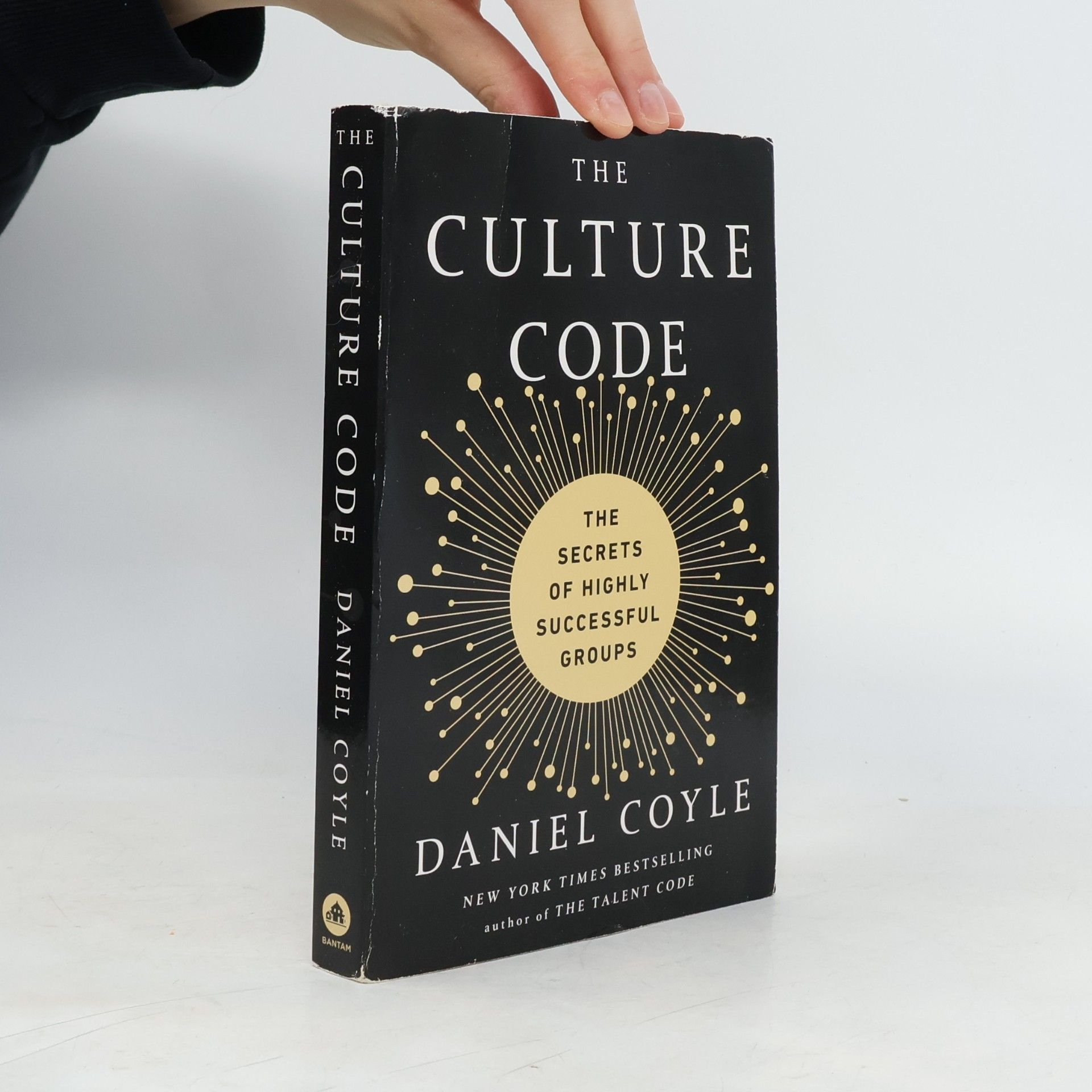 Daniel Coyle The Culture Code
