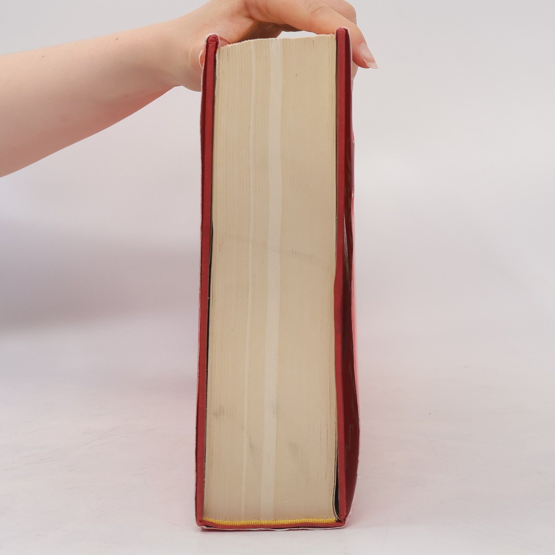 Wilhelm Busch Das grosse Wilhelm Busch Hausbuch