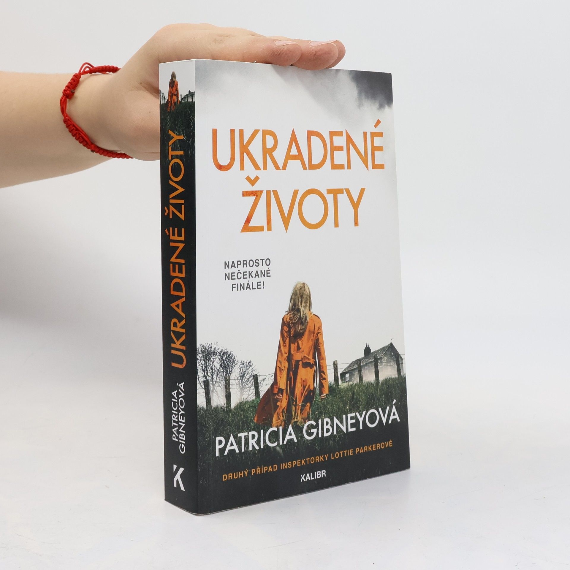 Patricia Gibney Ukradené životy
