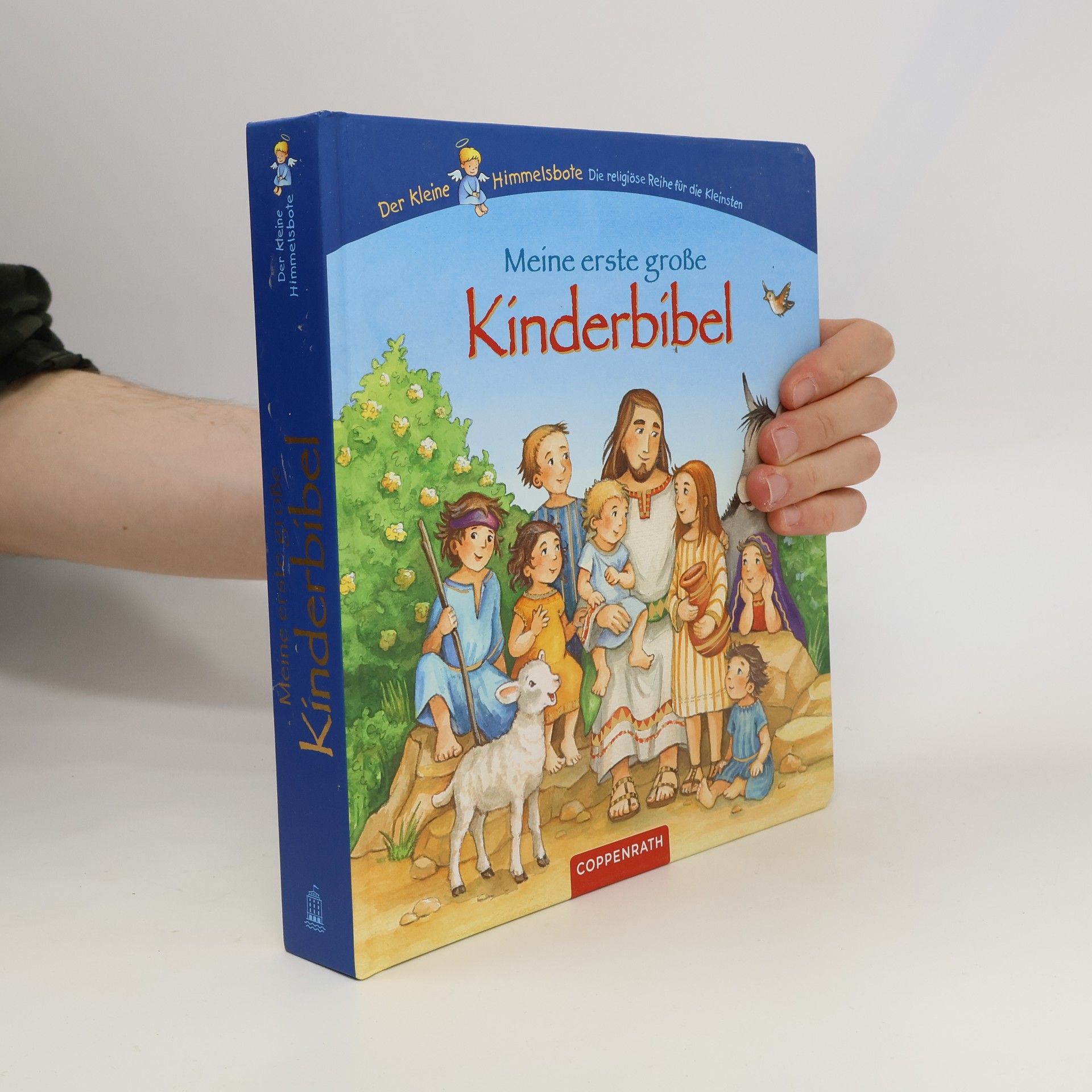 Erwin Grosche Meine erste große Kinderbibel