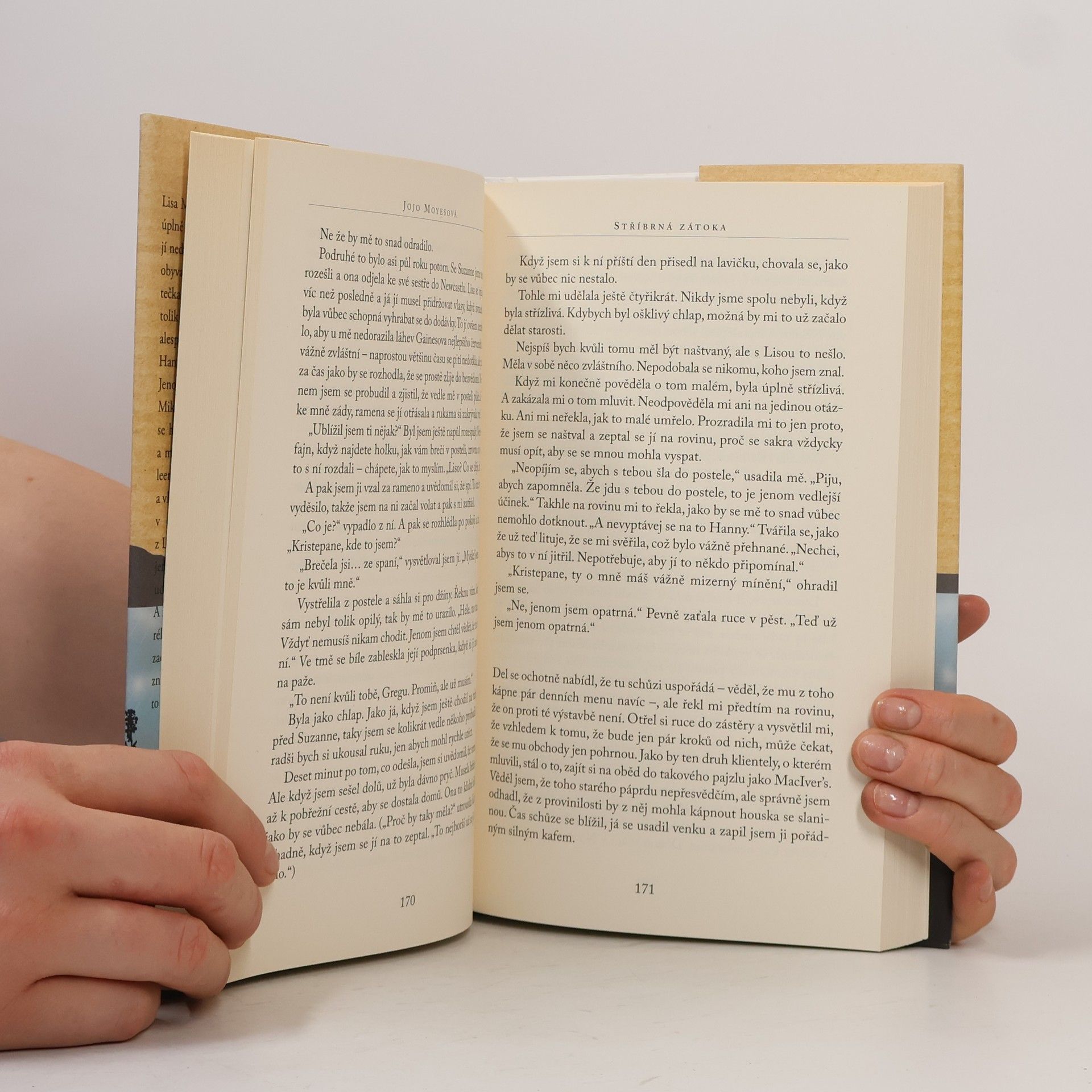Jojo Moyes Stříbrná zátoka