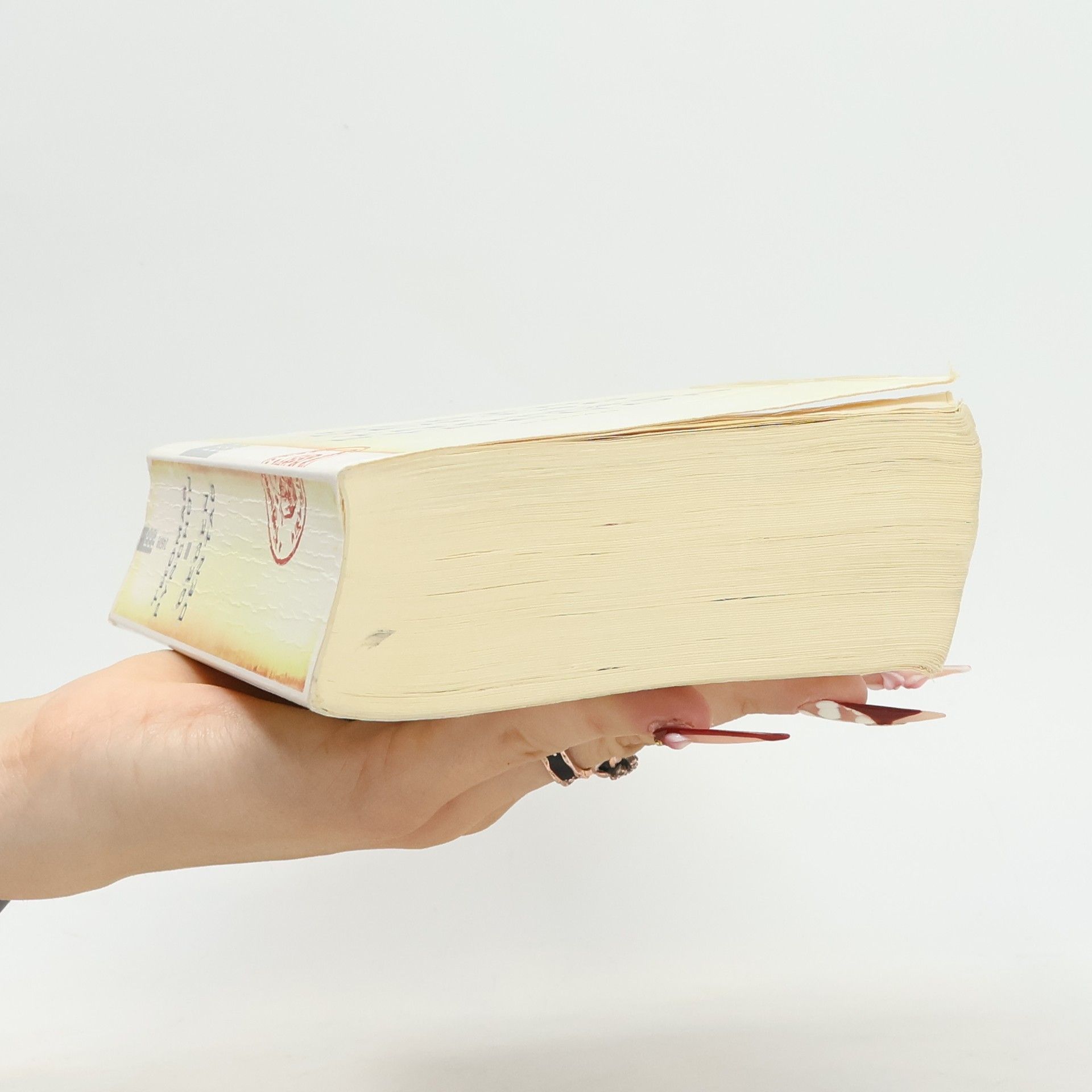 Thomas Pynchon Gegen den Tag