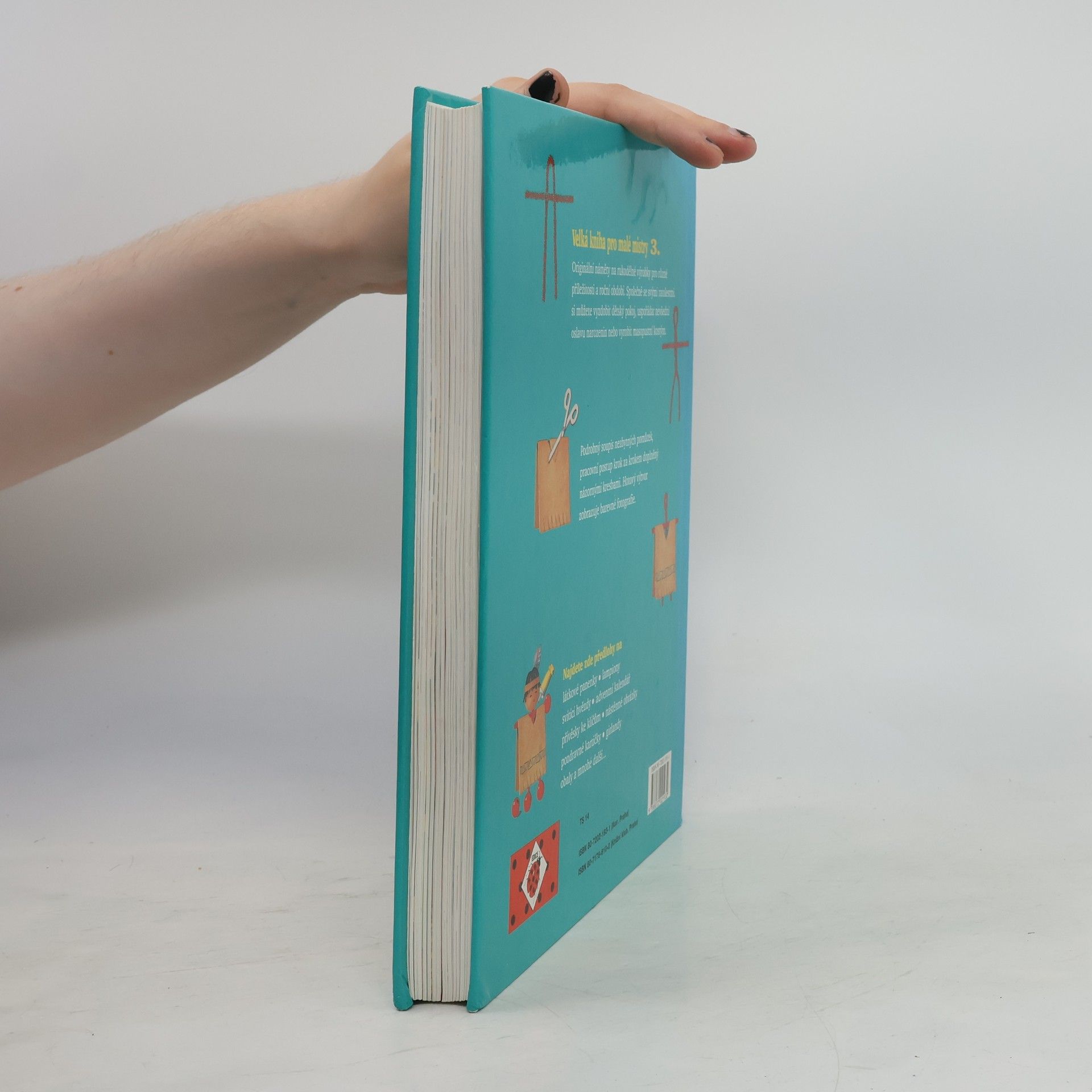 Autorenkollektiv Velká kniha pro malé mistry 3
