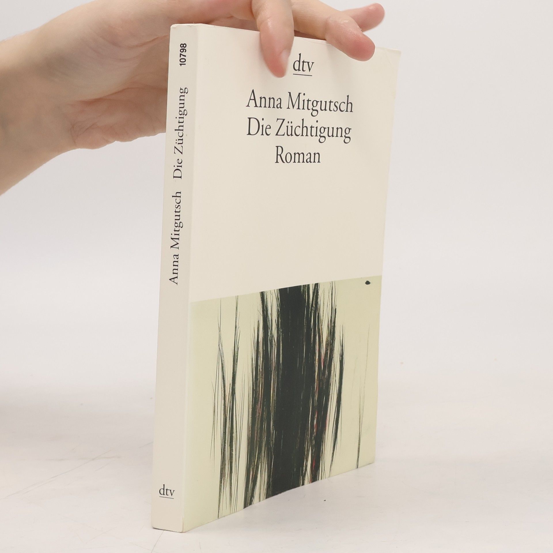 Anna Mitgutsch Die Züchtigung