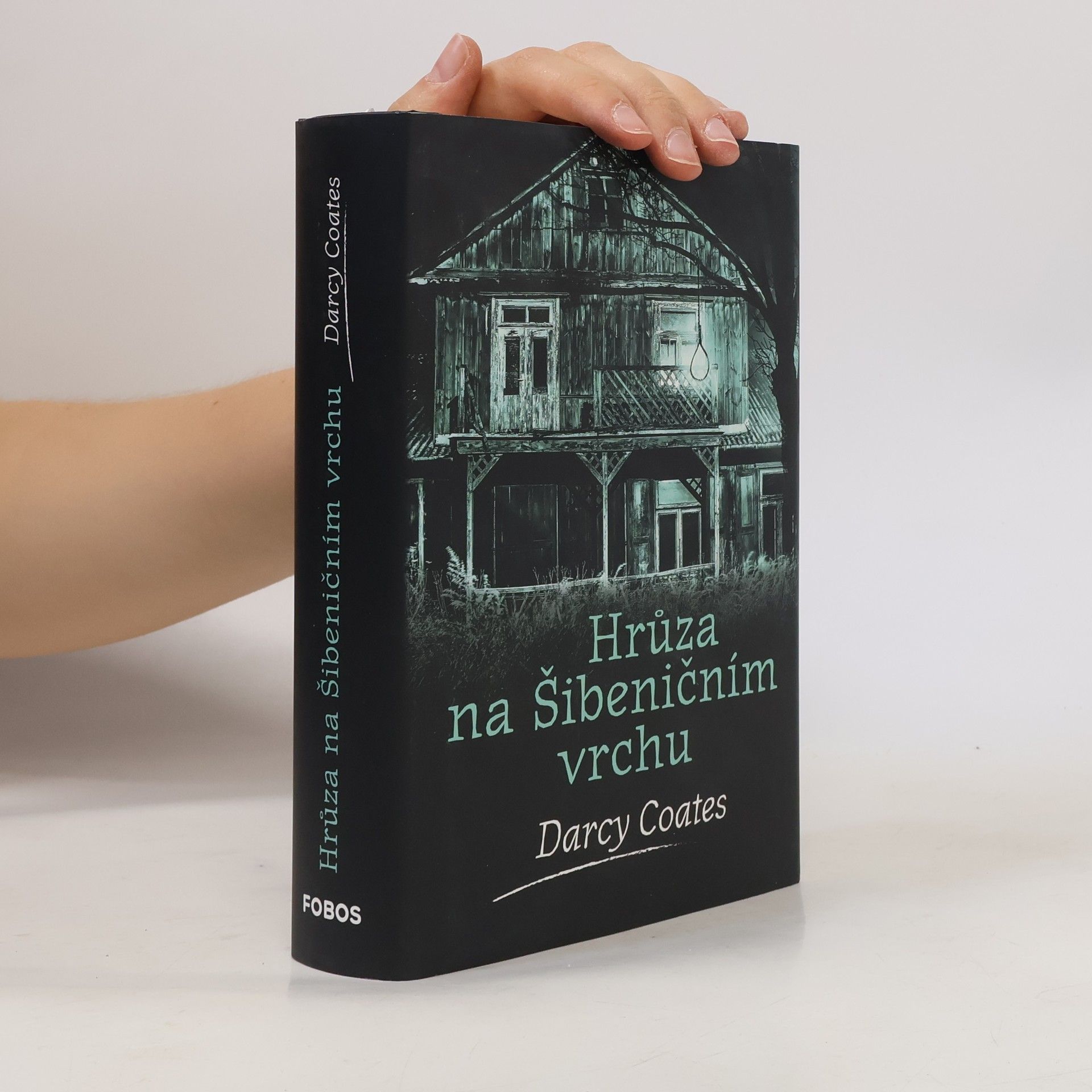Darcy Coates Hrůza na Šibeničním vrchu
