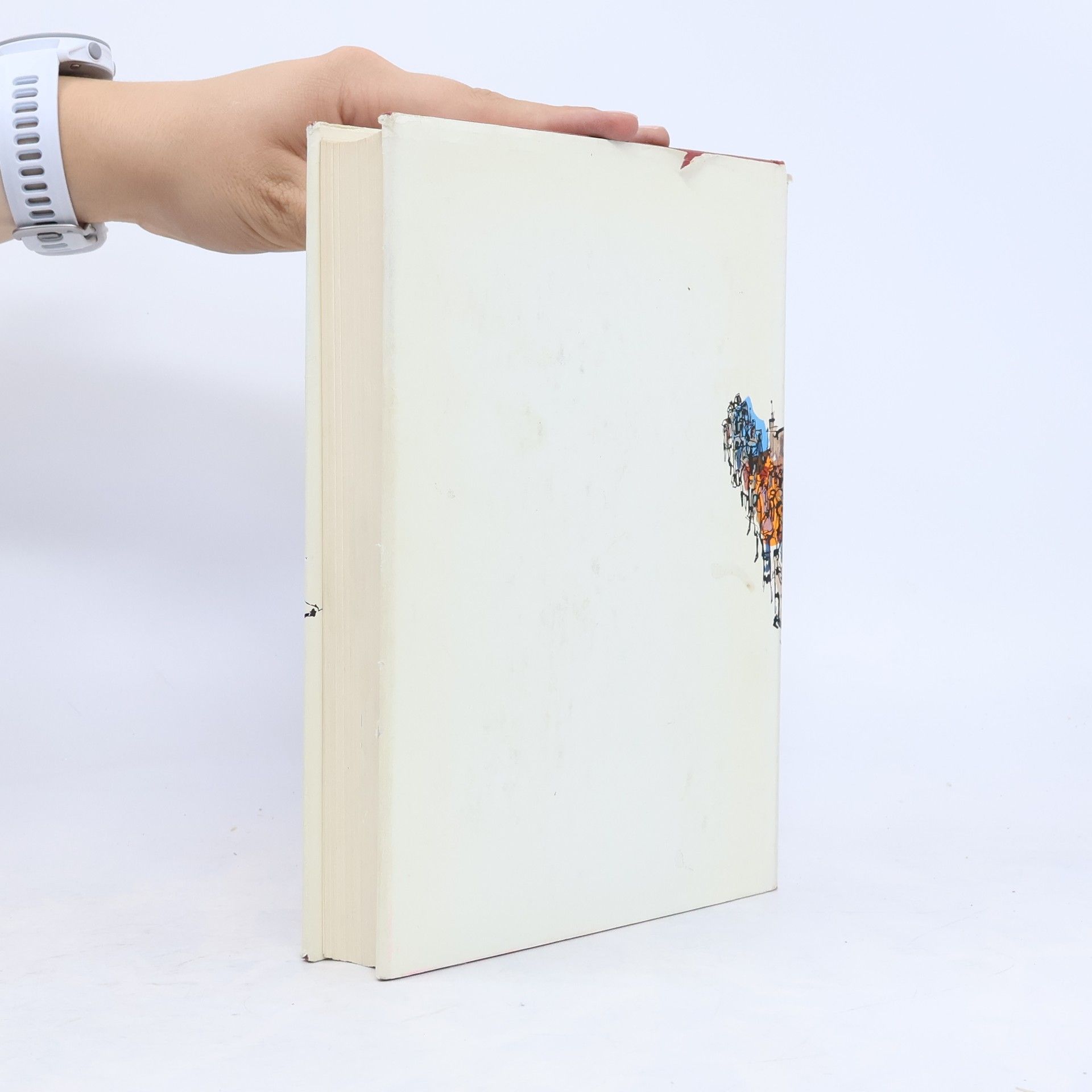 Octavio Kant Die Biblische Geschichte