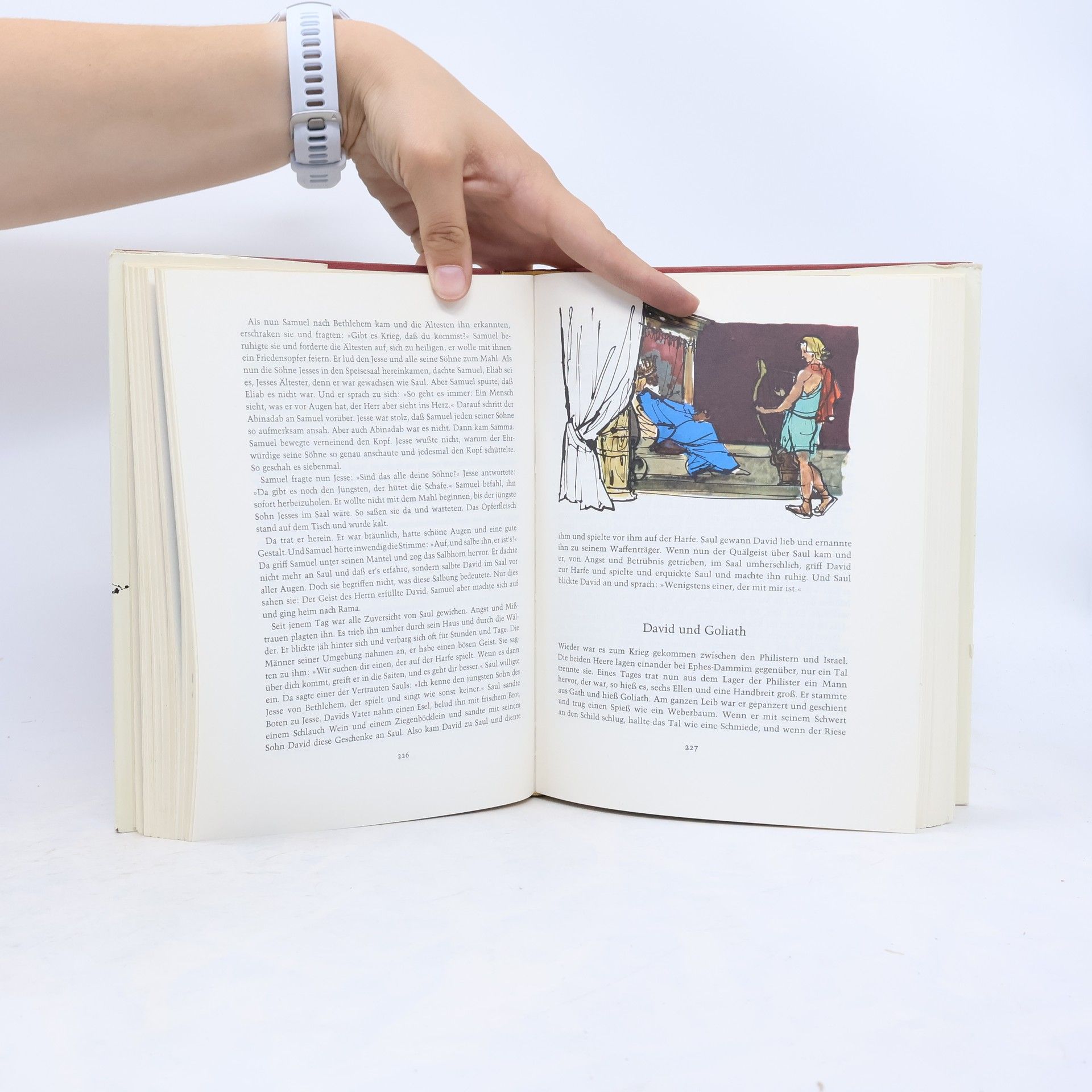 Octavio Kant Die Biblische Geschichte