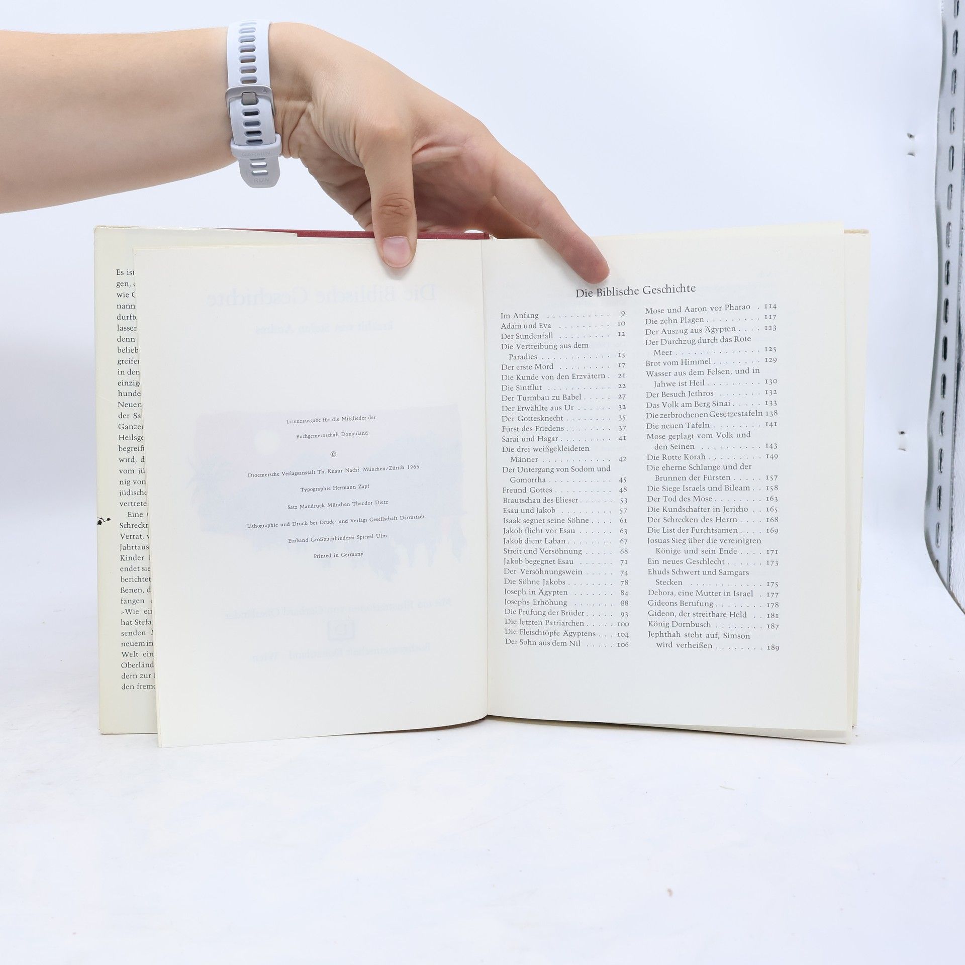 Octavio Kant Die Biblische Geschichte