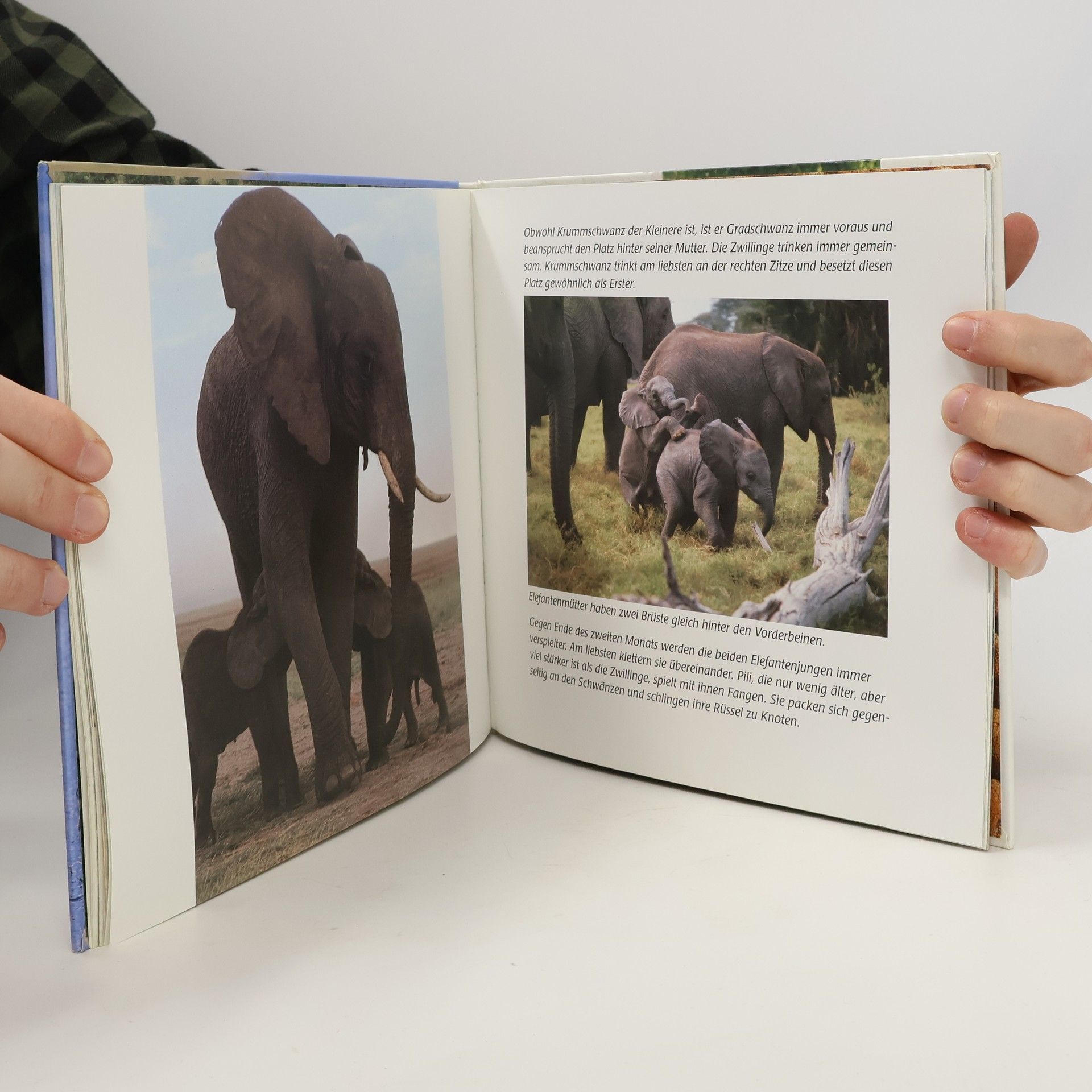 Oria Douglas-Hamilton Das Elefanten-Kinder-Buch