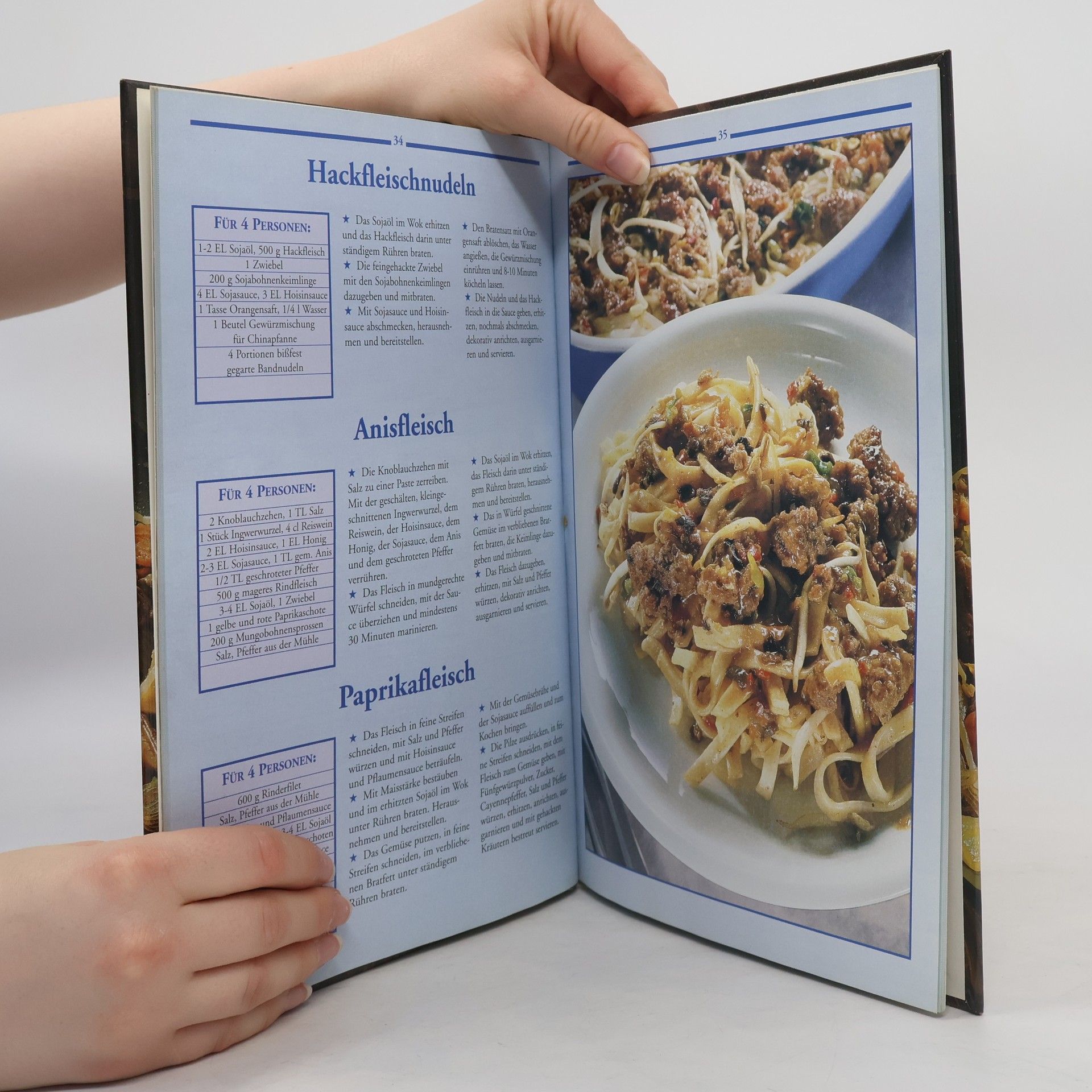 Autorenkollektiv 100 Rezepte kochen mit dem Wok