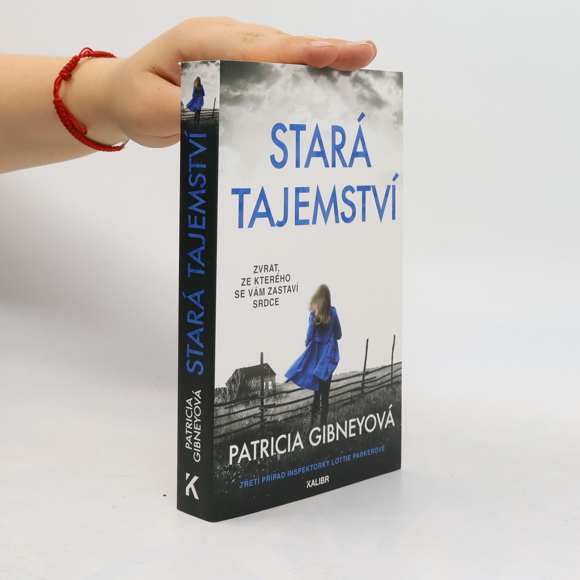 Patricia Gibney Stará tajemství