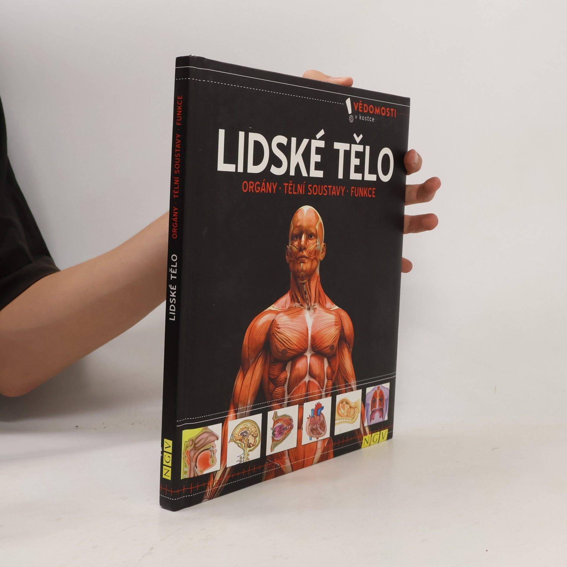 Autorenkollektiv Lidské tělo