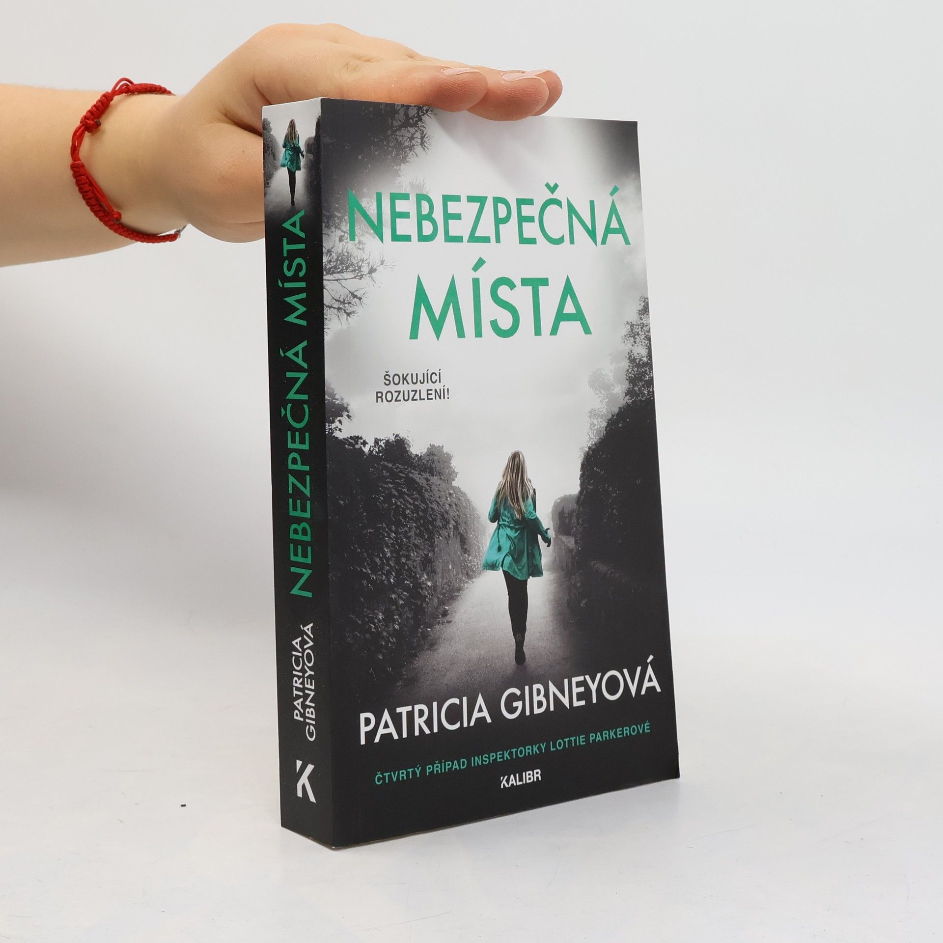 Patricia Gibney Nebezpečná místa