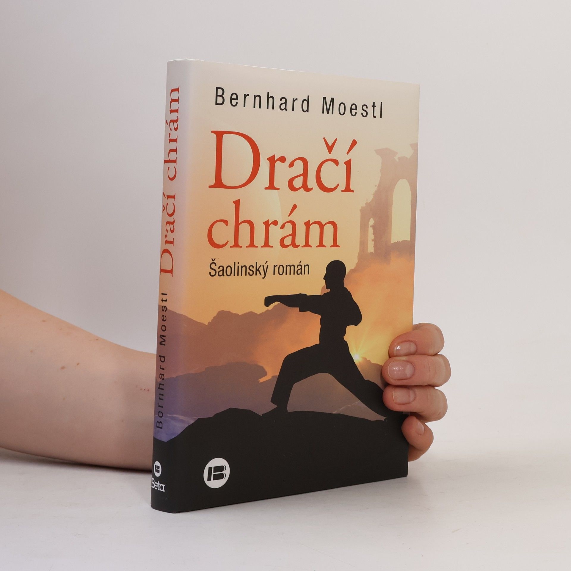 Dračí chrám : šaolinský román