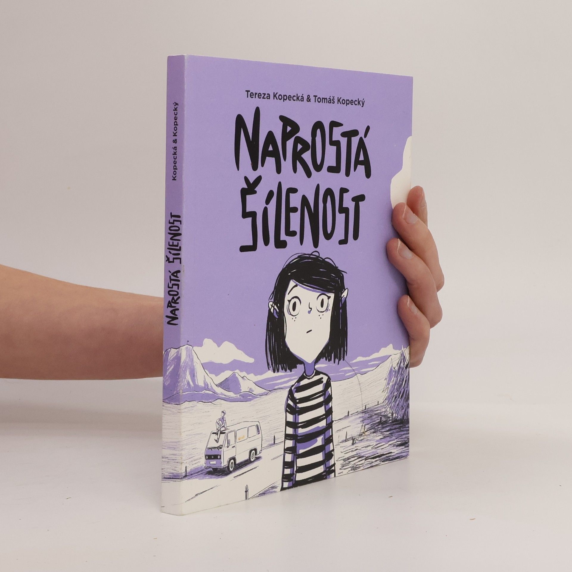 Tereza Kopecká Naprostá šílenost: Anna na cestě z úzkosti