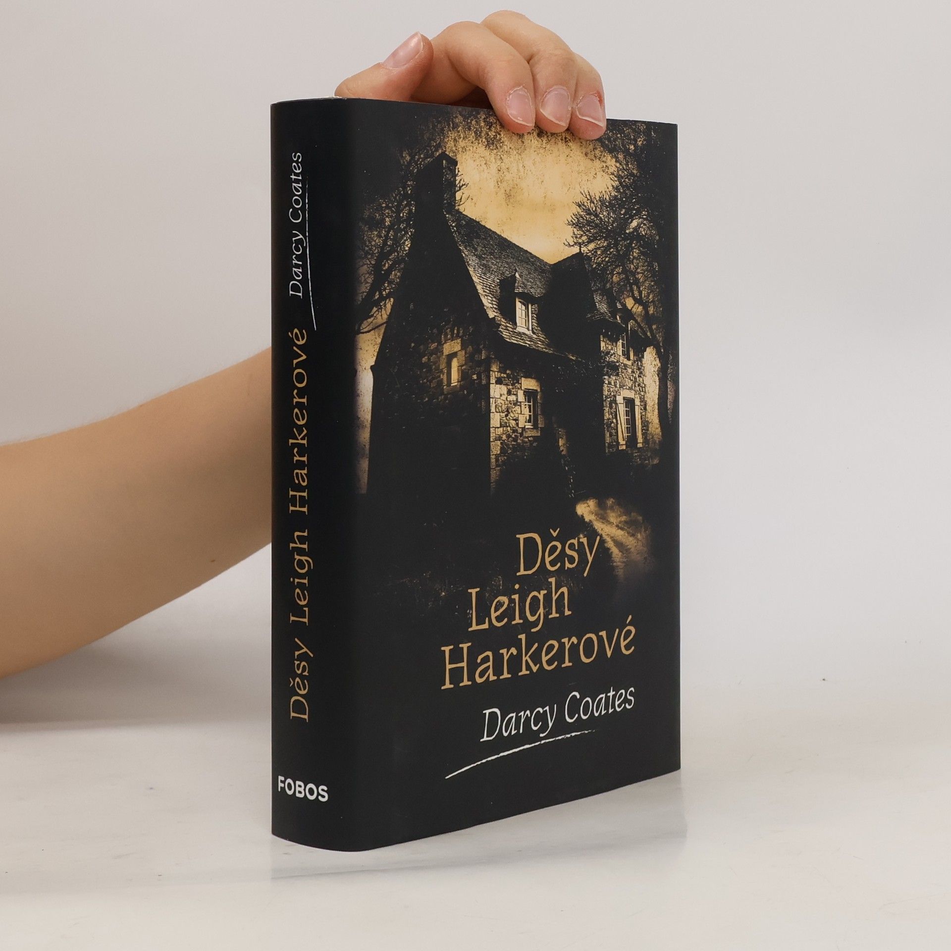 Darcy Coates Děsy Leigh Harkerové