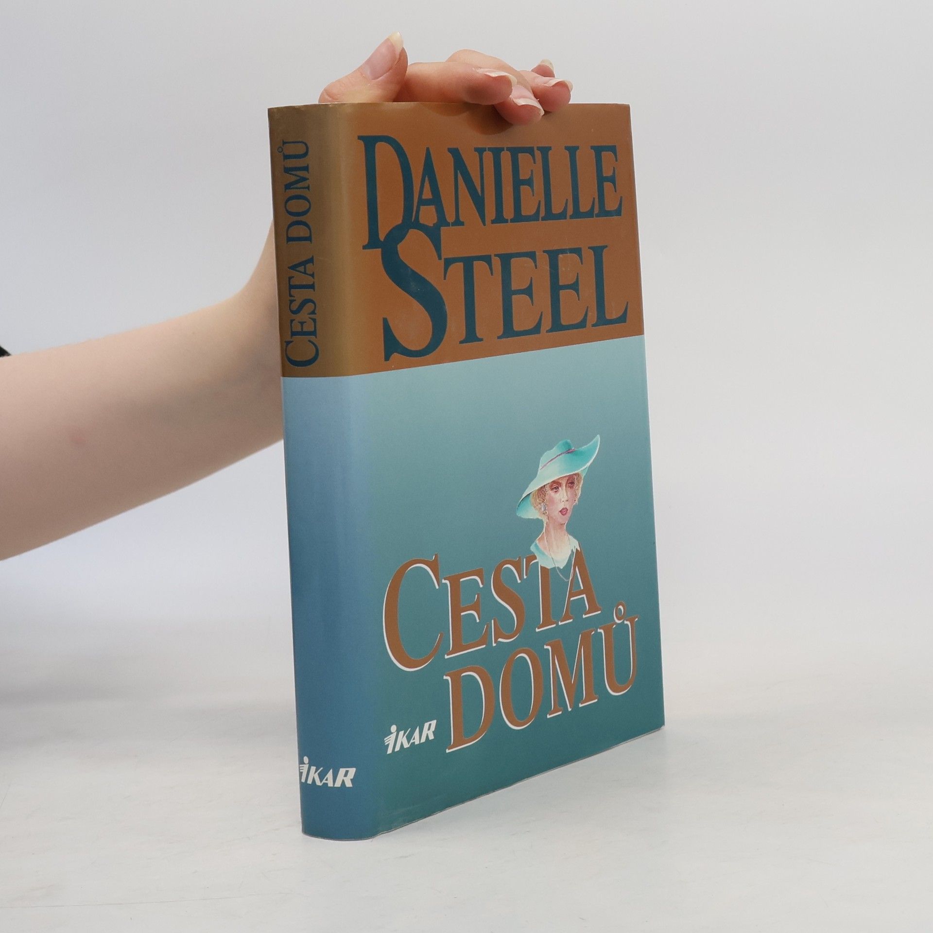 Danielle Steel Cesta domů
