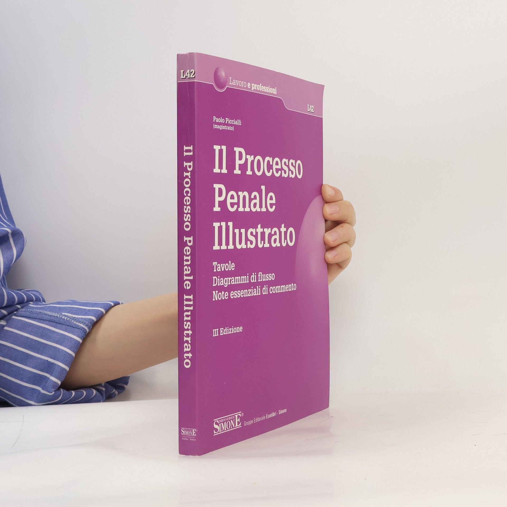 Paolo Piccialli Lavoro e professioni: Il processo penale illustrato. Tavole, diagrammi di flusso, note essenziali di commento - III Edizione