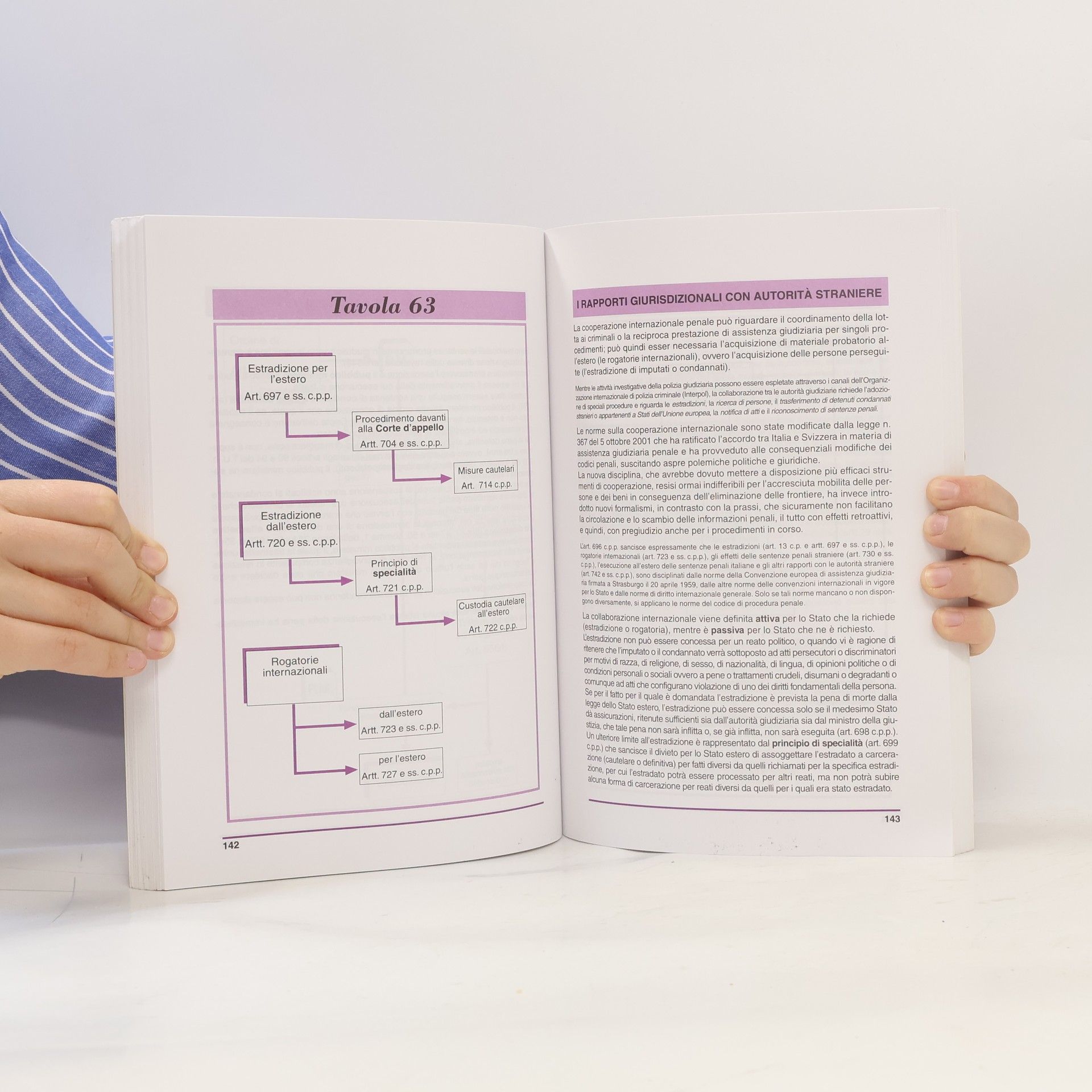 Paolo Piccialli Lavoro e professioni: Il processo penale illustrato. Tavole, diagrammi di flusso, note essenziali di commento - III Edizione
