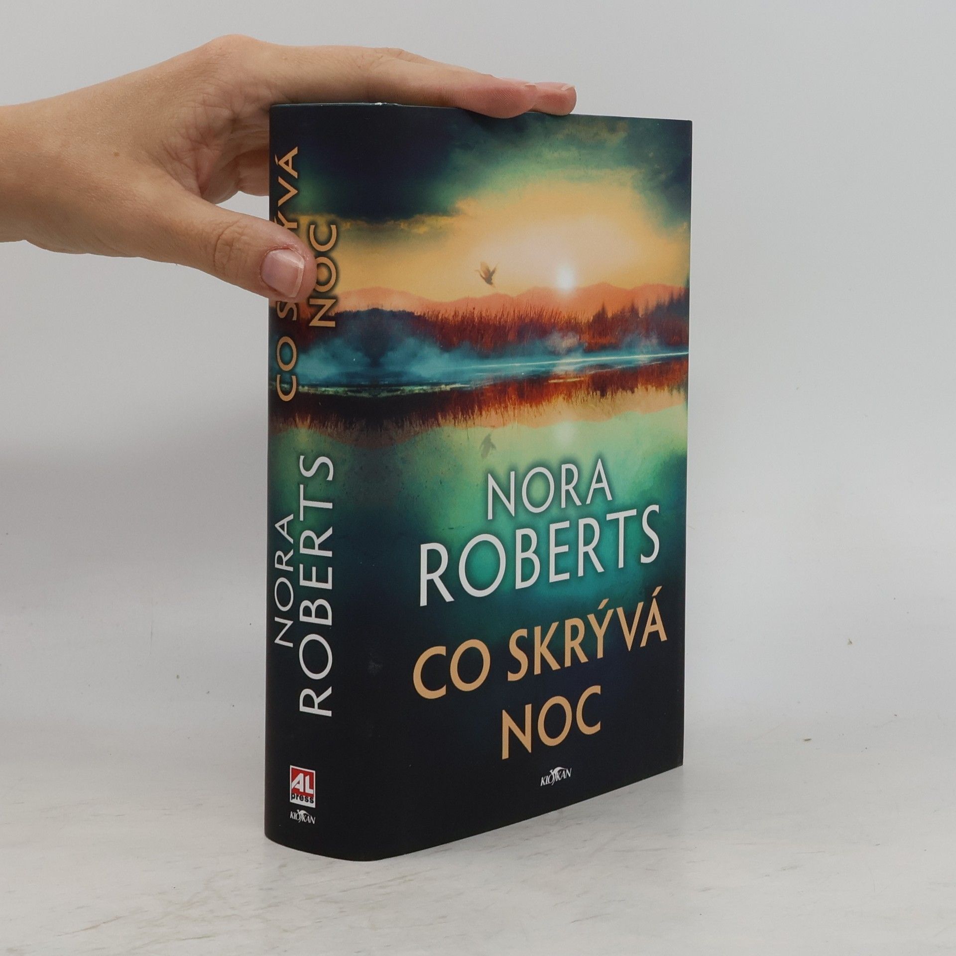 Nora Roberts Co skrývá noc