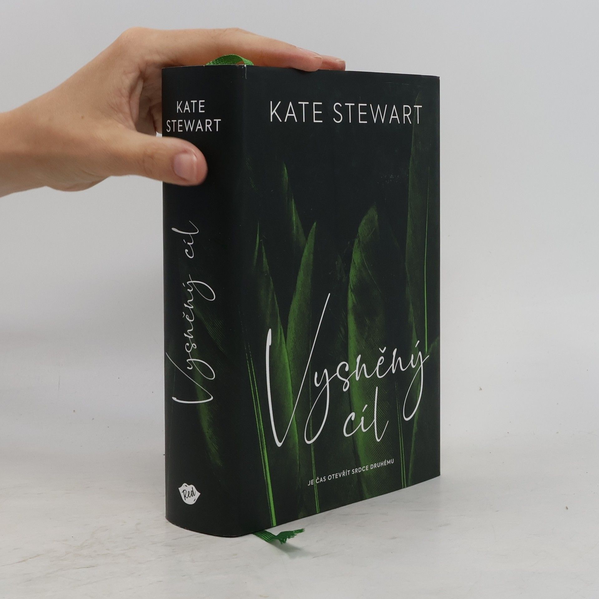 Kate Stewart Vysněný cíl. Kniha třetí