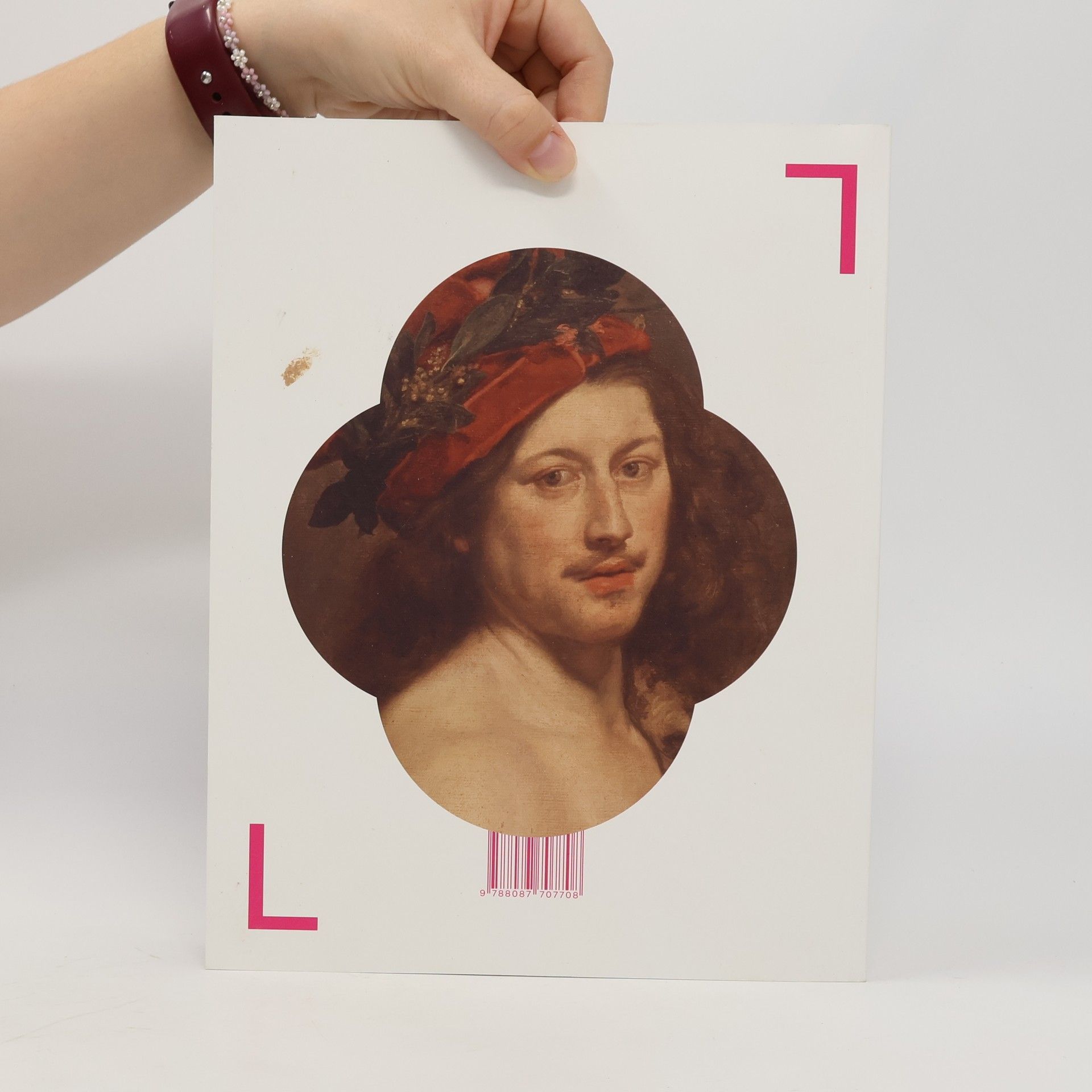 Autorenkollektiv Obrazy barokního světa / Gemälde der Barockwelt