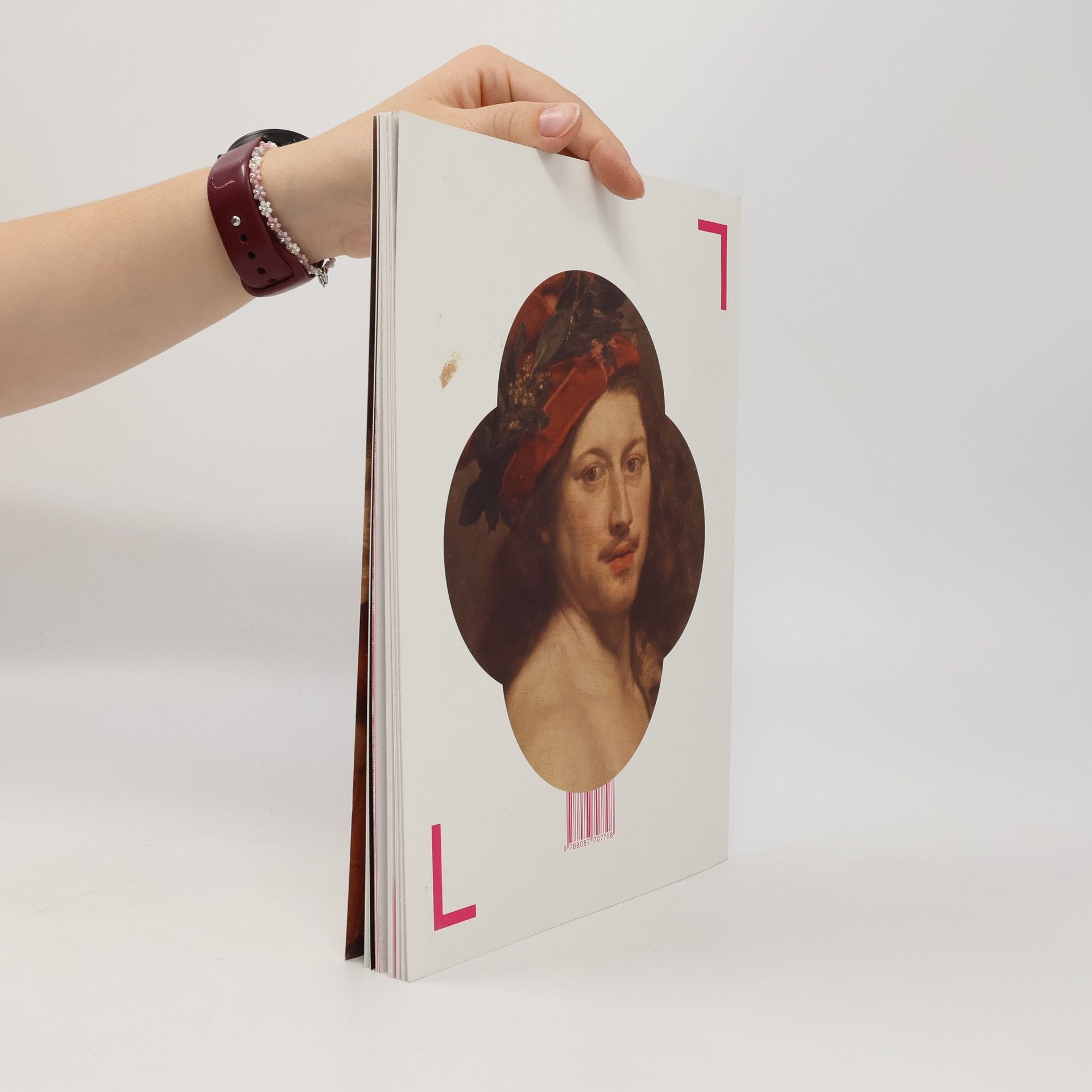 Autorenkollektiv Obrazy barokního světa / Gemälde der Barockwelt