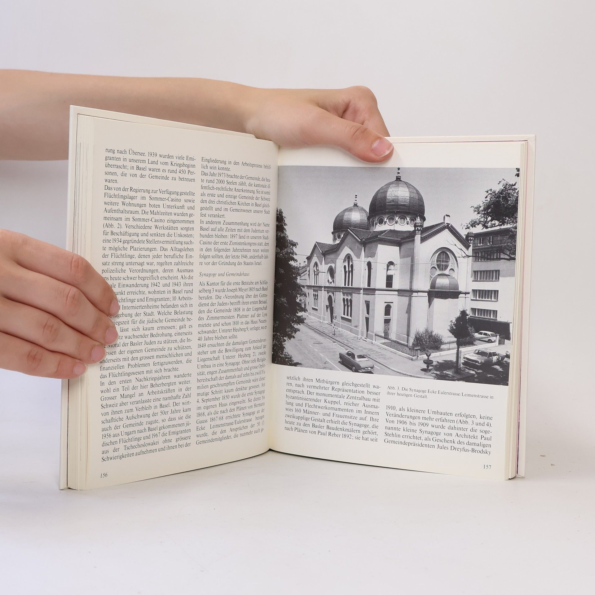Basler Stadtbuch 1980 - Ausgabe 1981 101. Jahr