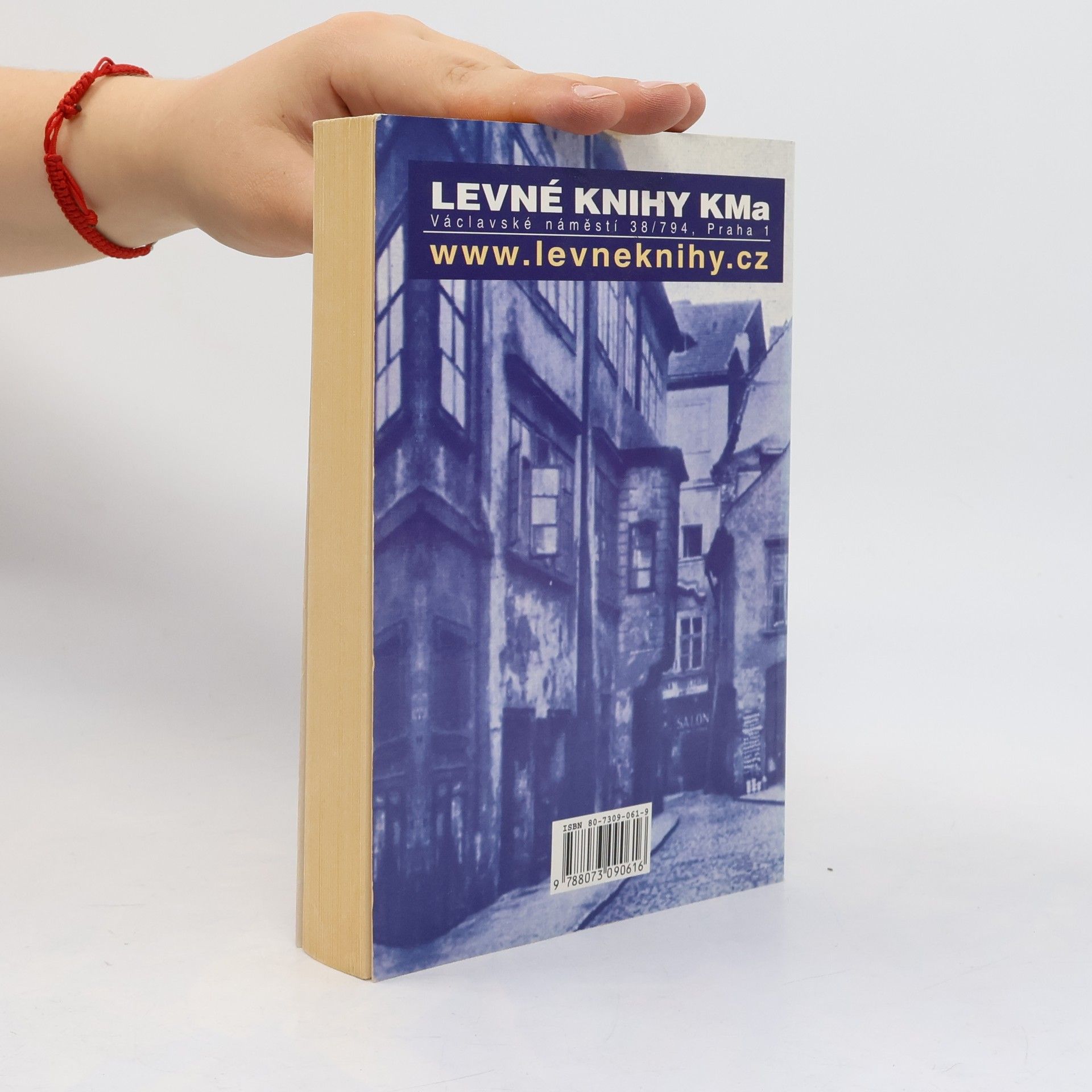 Karel Ladislav Kukla Pražské bahno. 2. díl, Typy a figurky