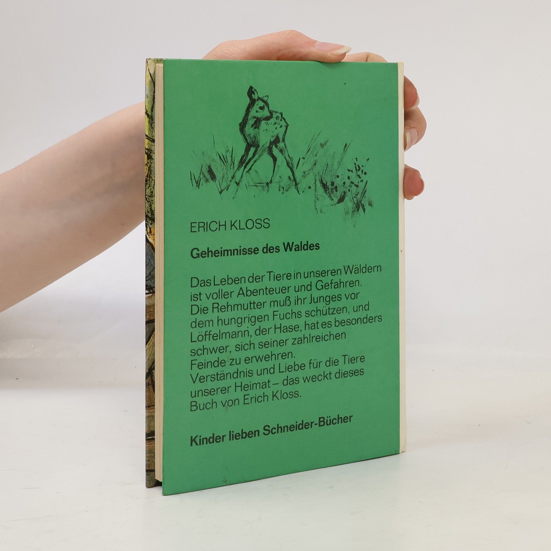 Erich Kloss Geheimnisse des Waldes