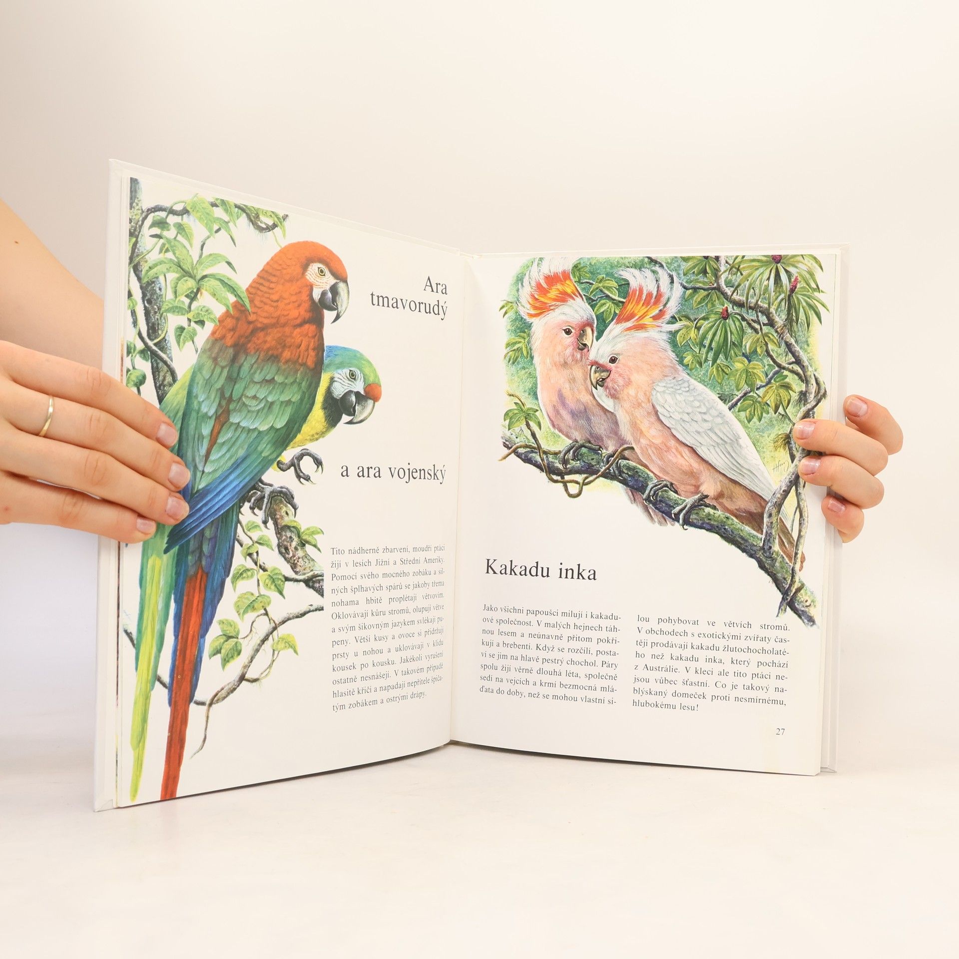 Erns W. Bauer Můj barevný atlas zvířat