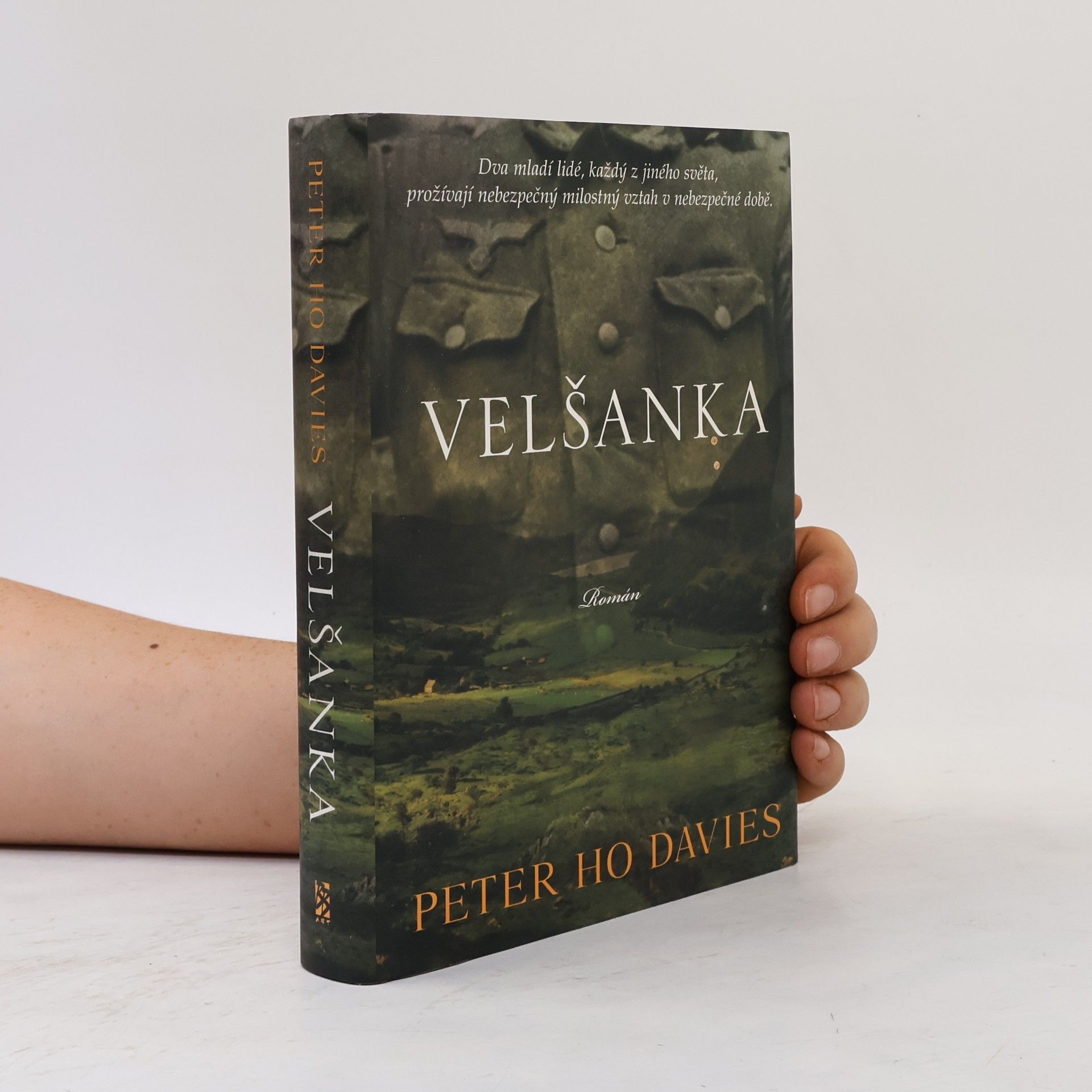 Peter Ho Davies Velšanka