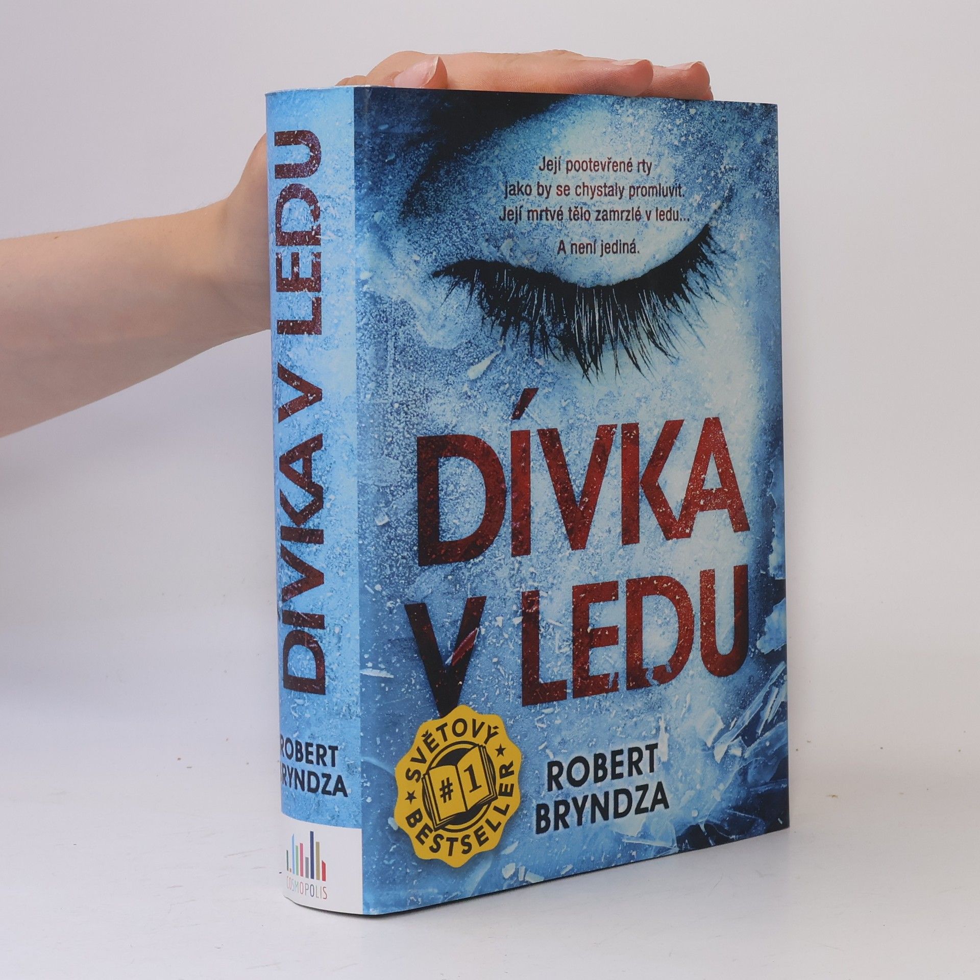 Robert Bryndza Dívka v ledu