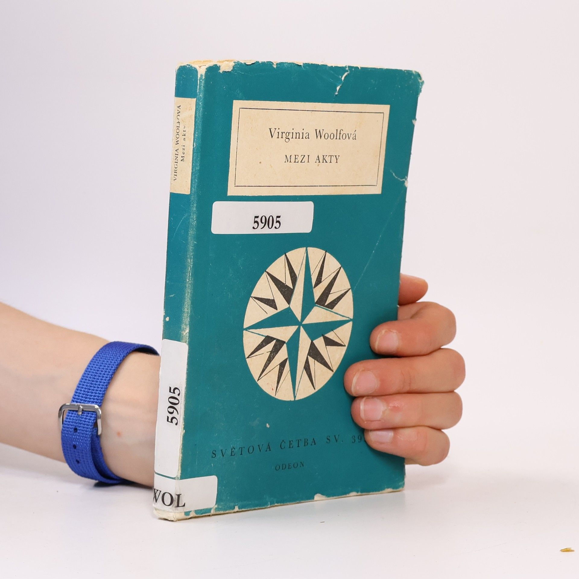 Virginia Woolf Mezi akty