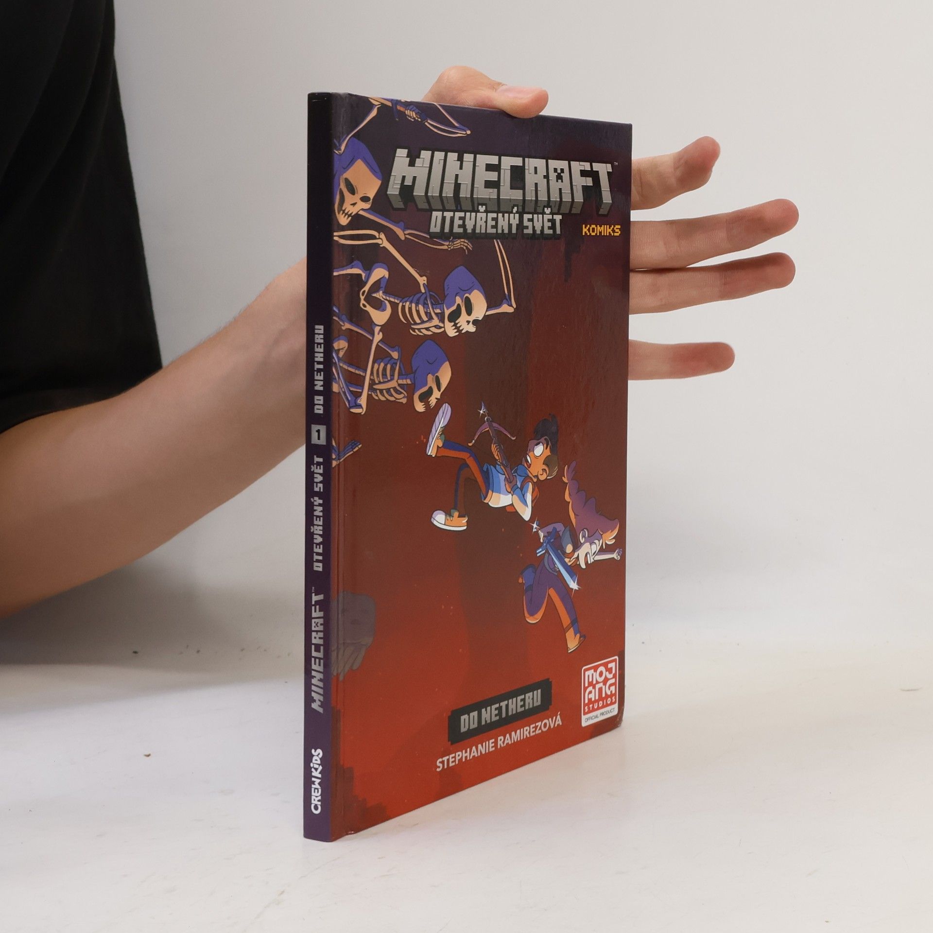 Stephanie Ramirez Minecraft. Otevřený svět