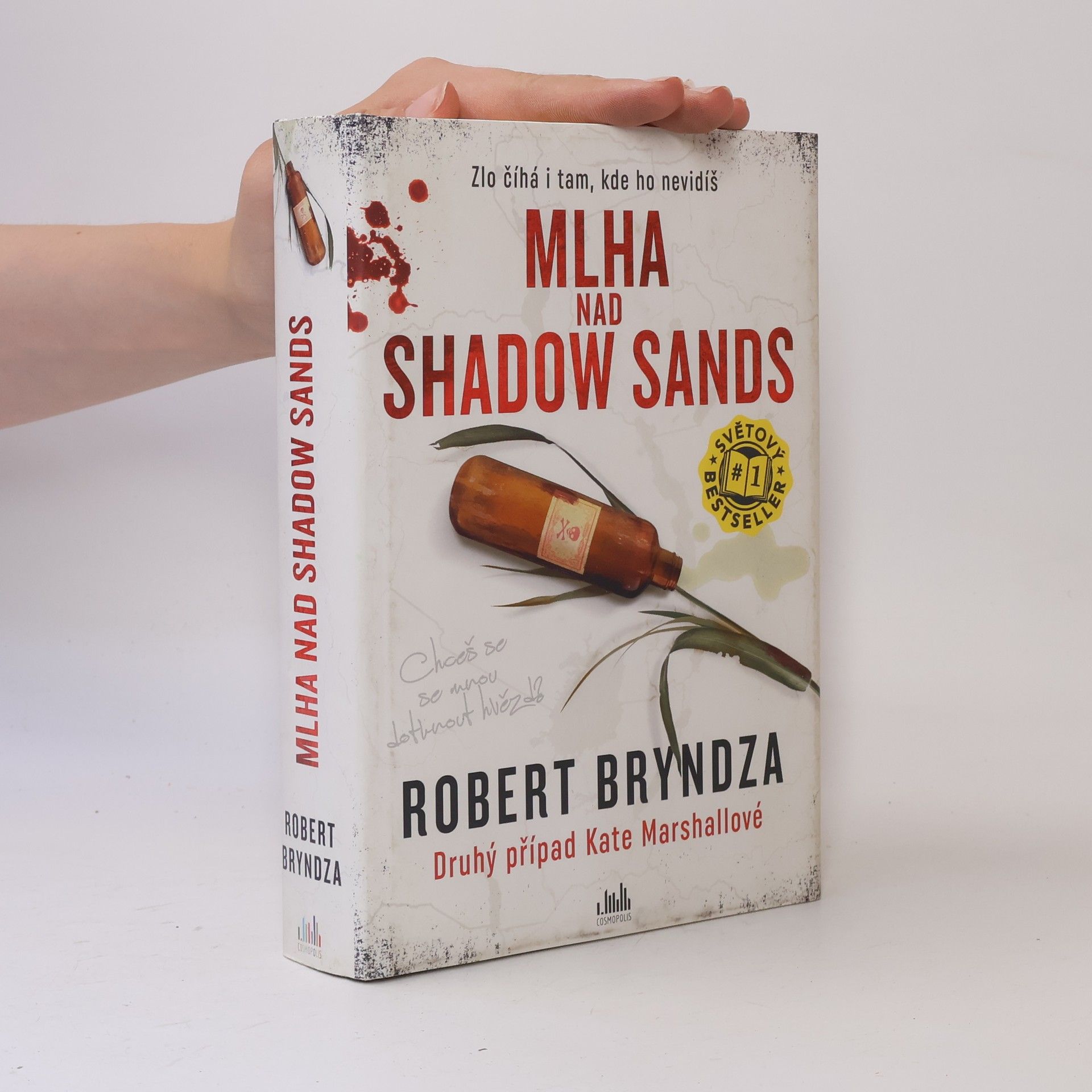 Robert Bryndza Mlha nad Shadow Sands
