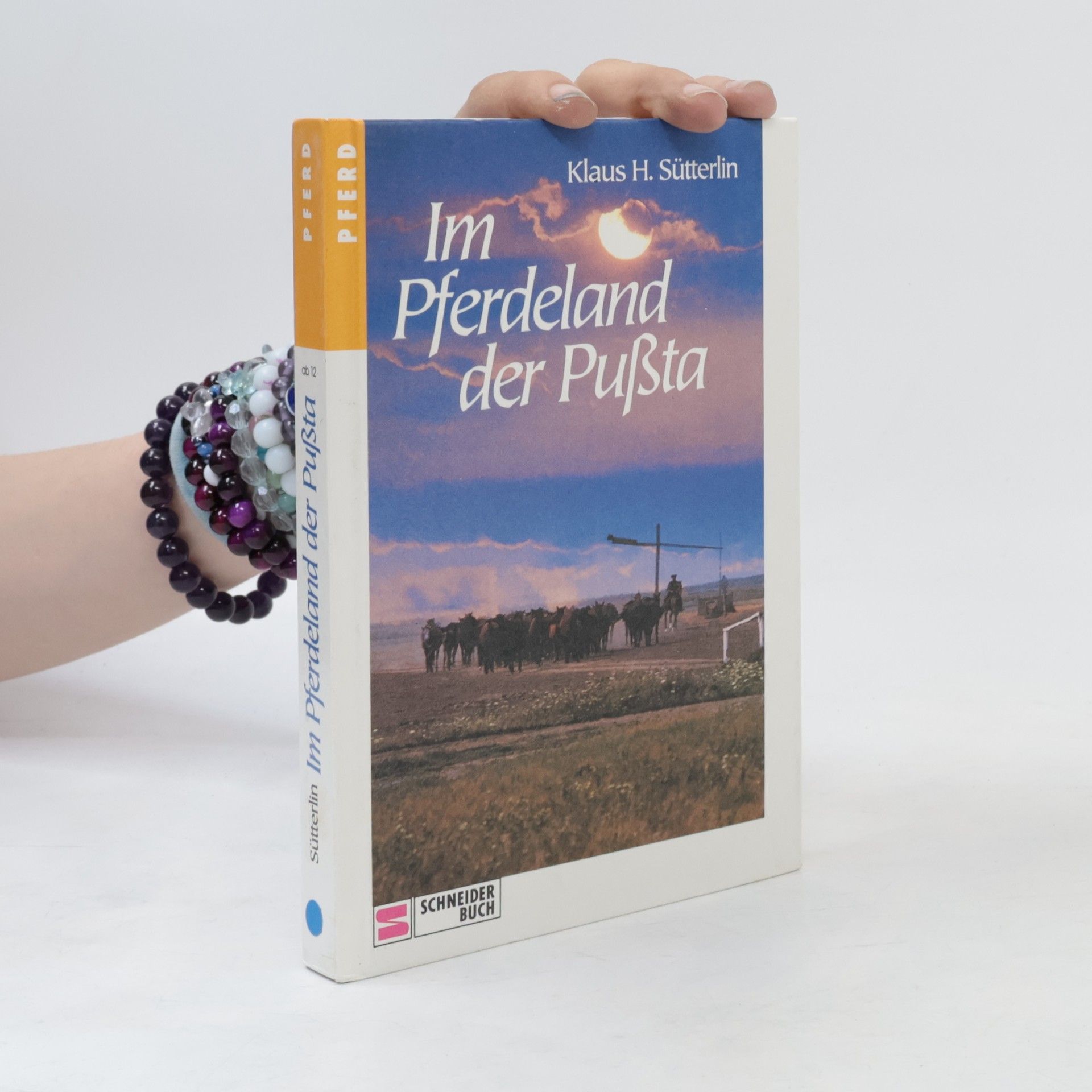 Klaus Sütterlin Im Pferdeland der Pußta