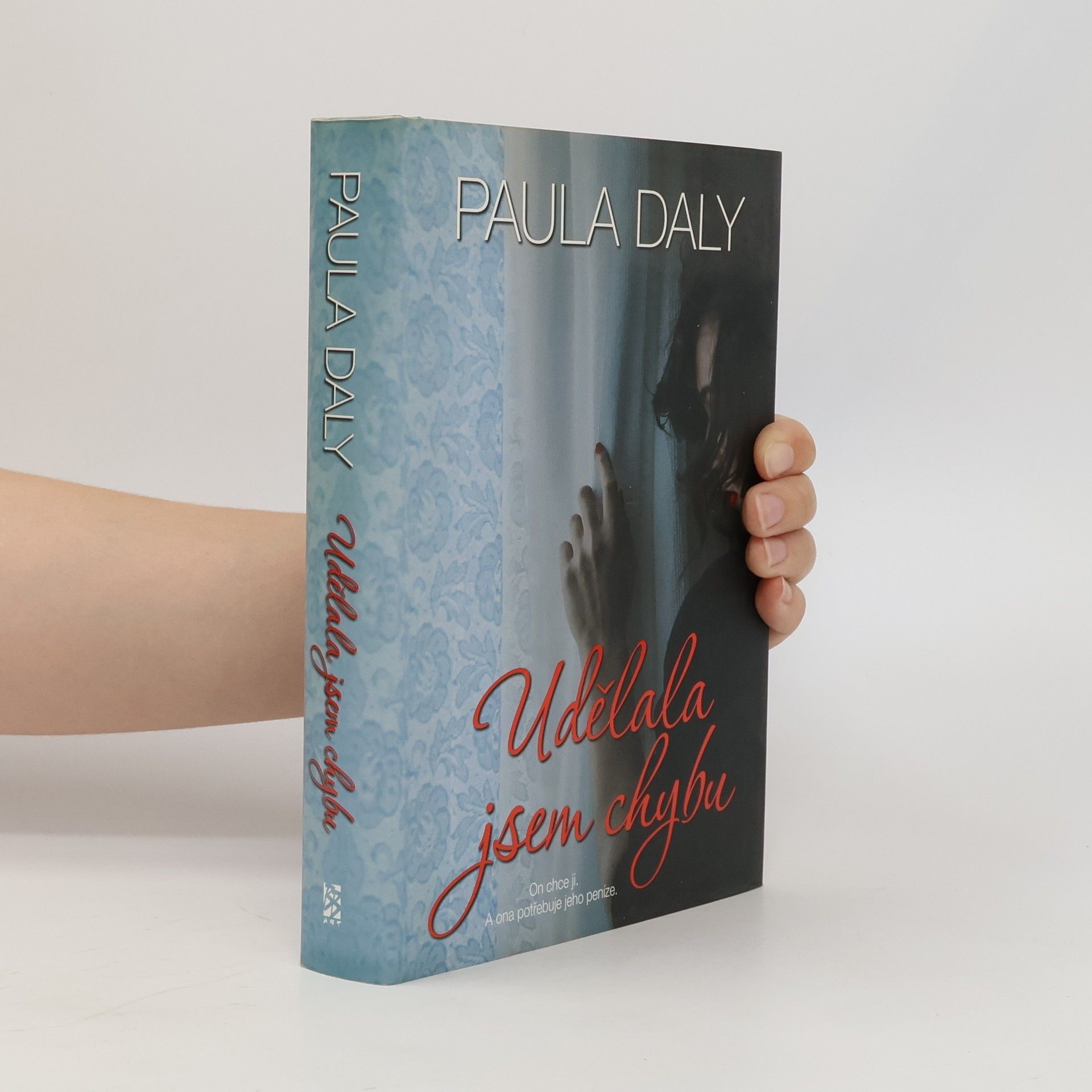 Paula Daly Udělala jsem chybu