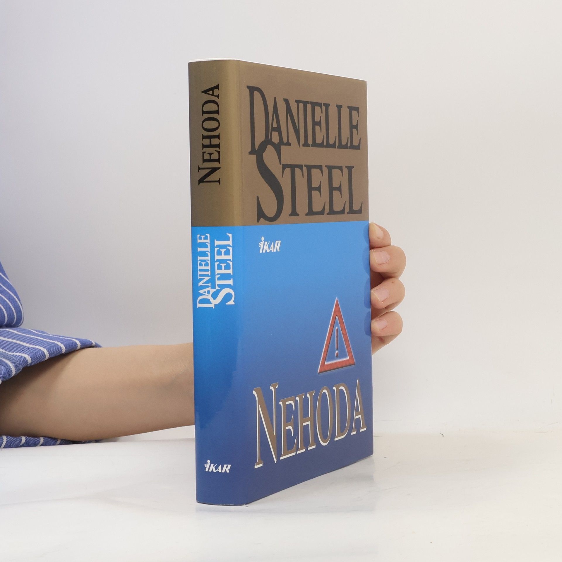 Danielle Steel Nehoda