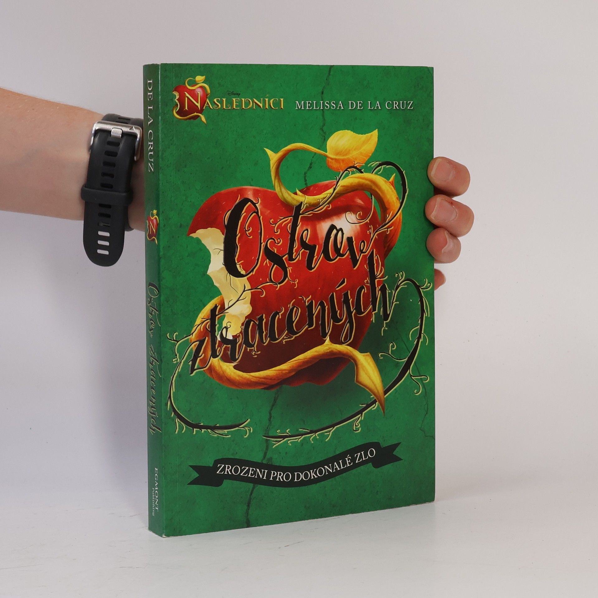 Následníci. Ostrov ztracených