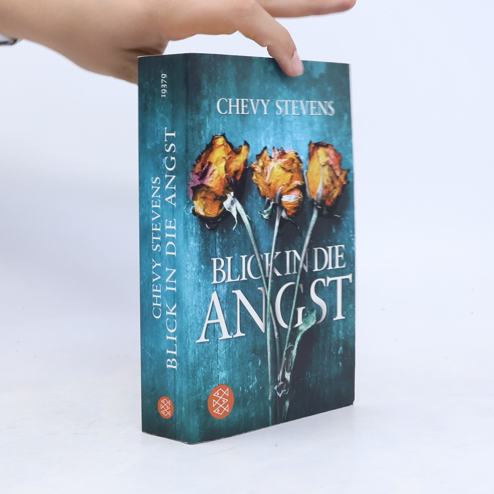 Chevy Stevens Blick in die Angst
