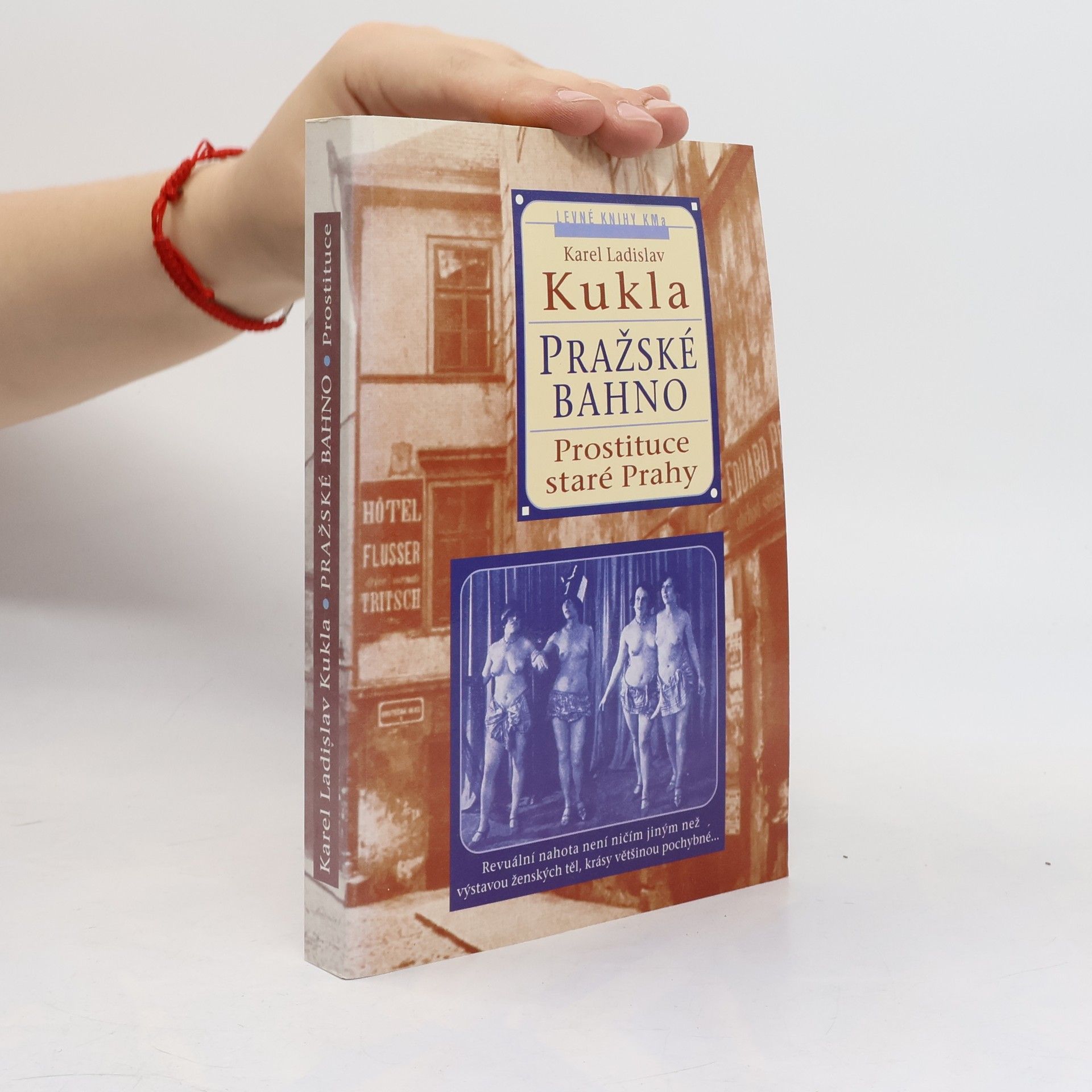 Karel Ladislav Kukla Pražské bahno. 1. díl, Pražská prostituce