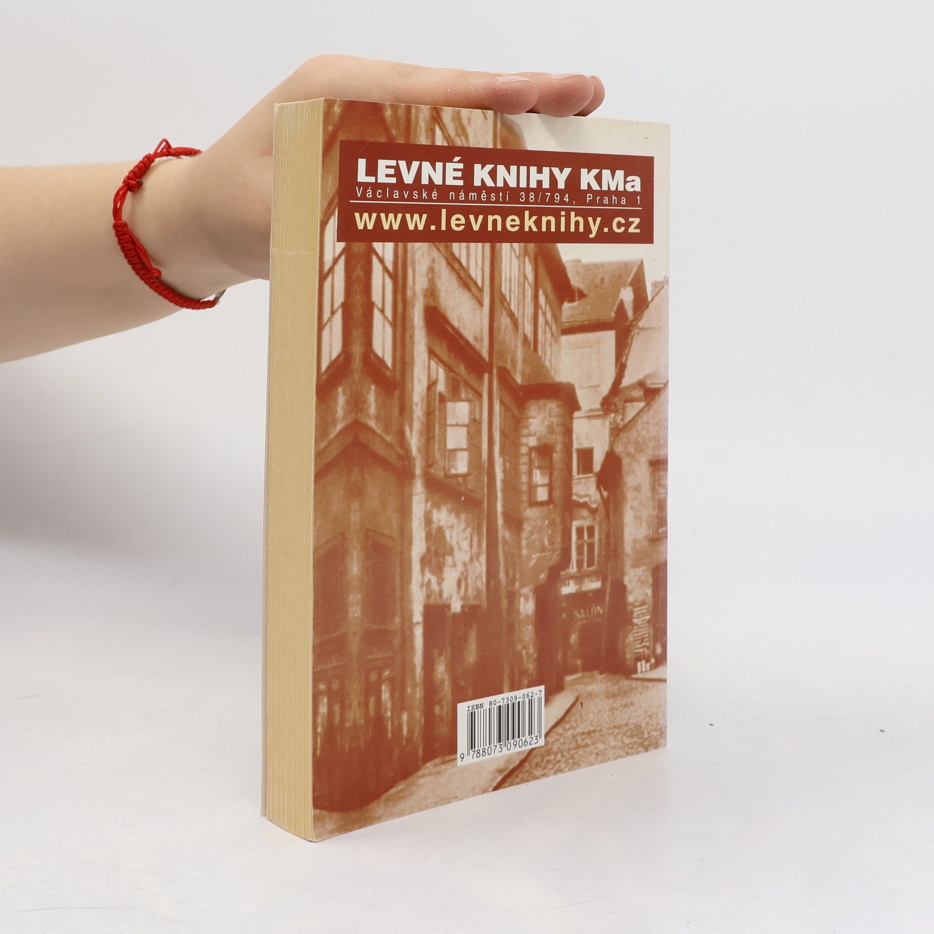 Karel Ladislav Kukla Pražské bahno. 1. díl, Pražská prostituce