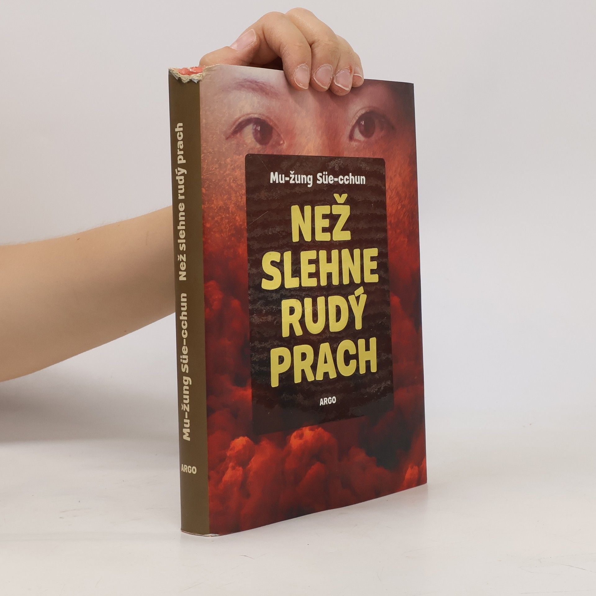 Xuecun Murong Než slehne rudý prach