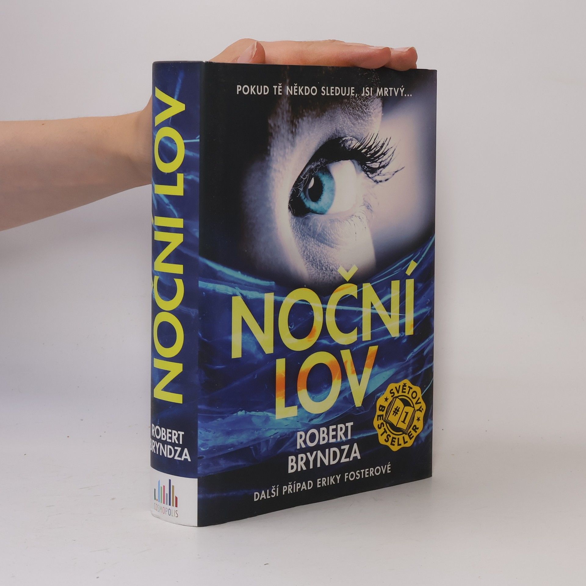 Robert Bryndza Noční lov