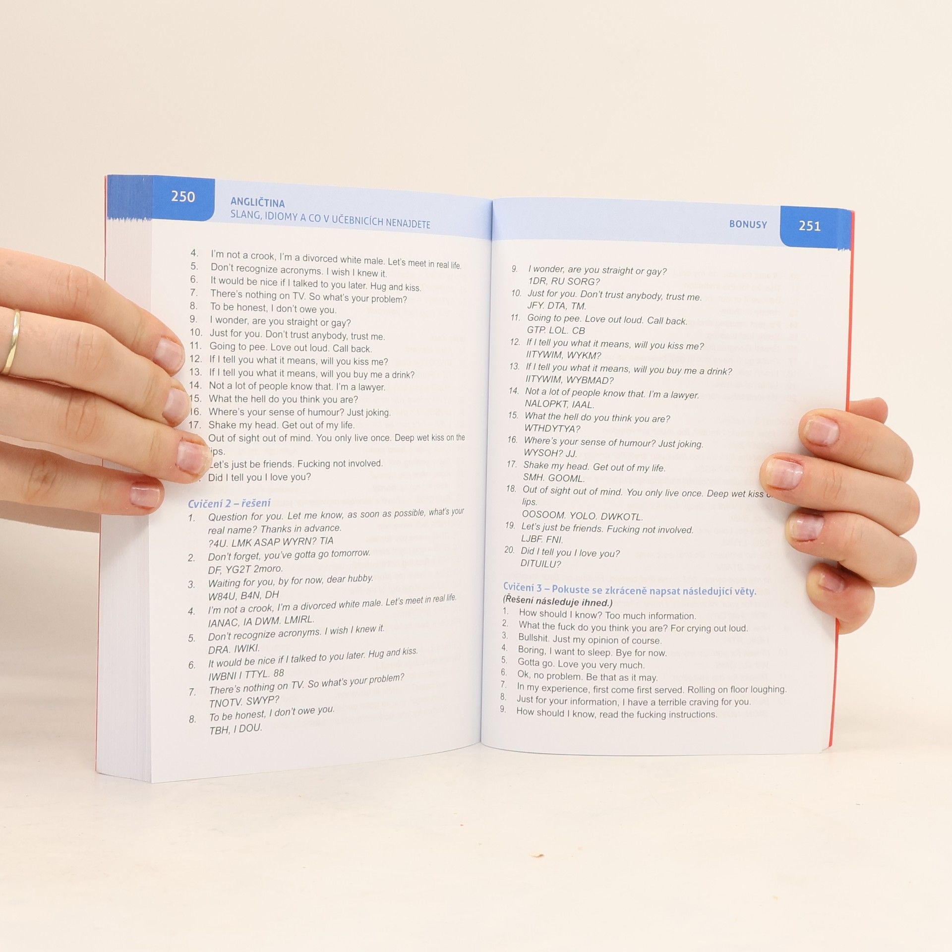 Miloslava Pourová Angličtina: Slang, idiomy a co v učebnicích nenajdete