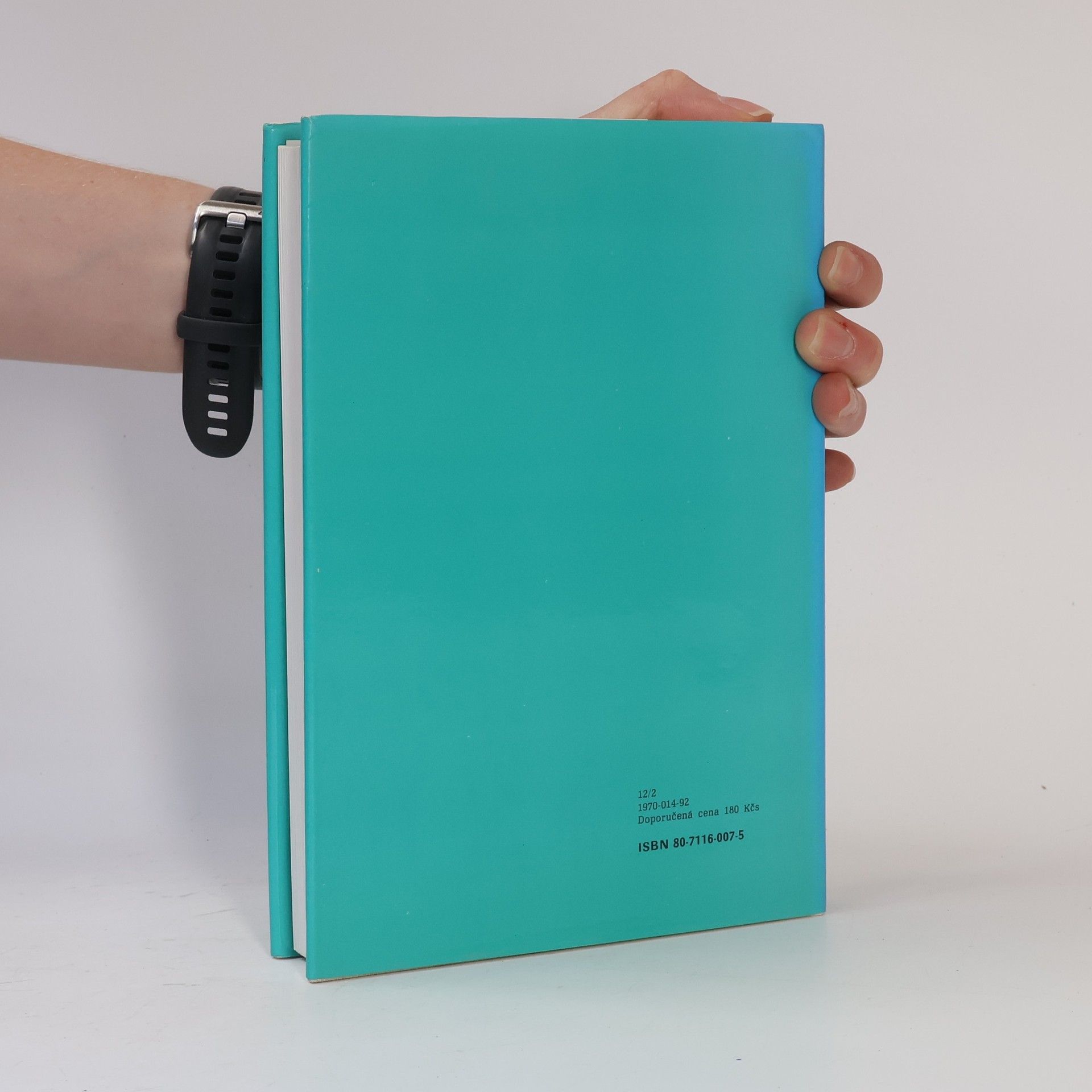 Patrik Ouředník Šmírbuch jazyka českého