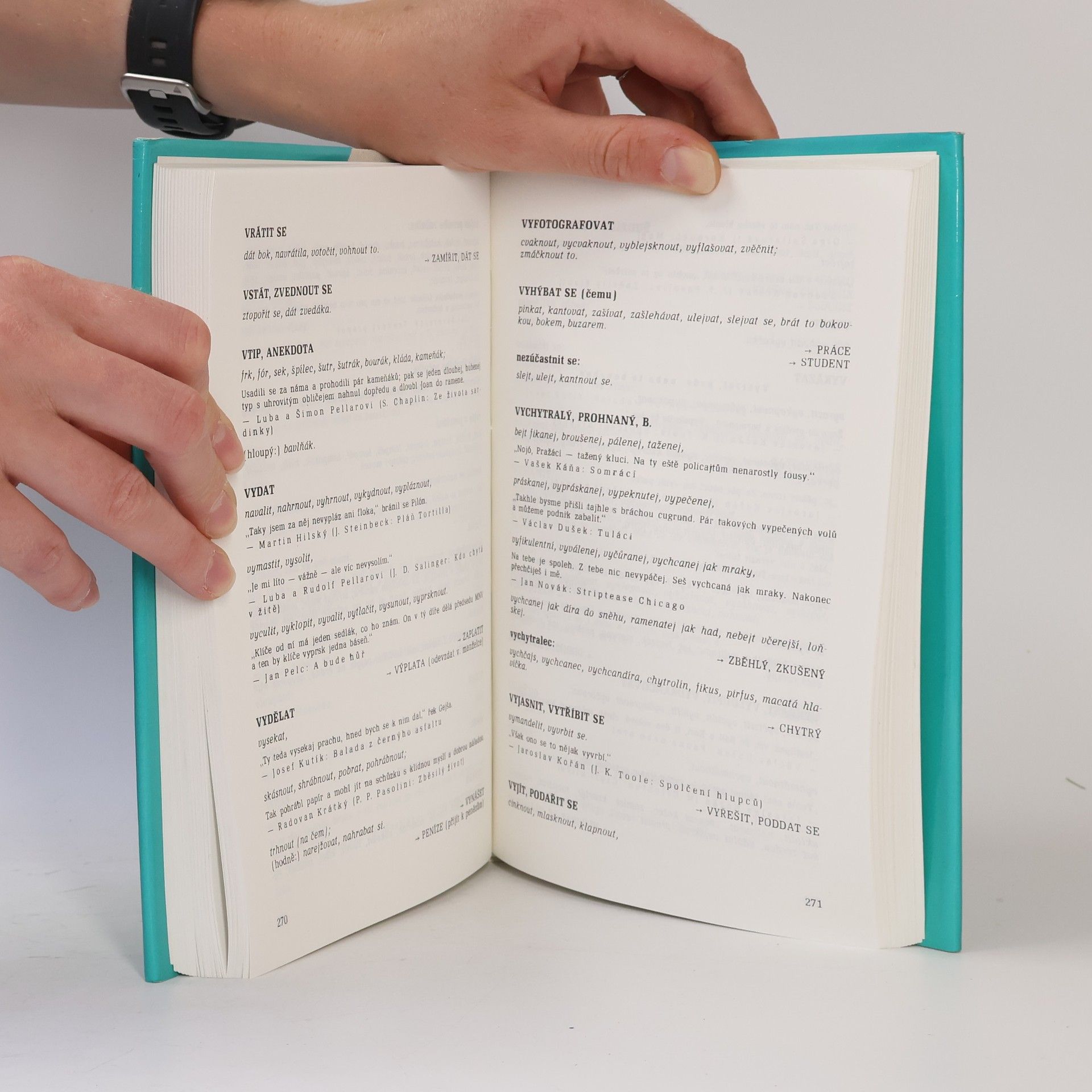 Patrik Ouředník Šmírbuch jazyka českého