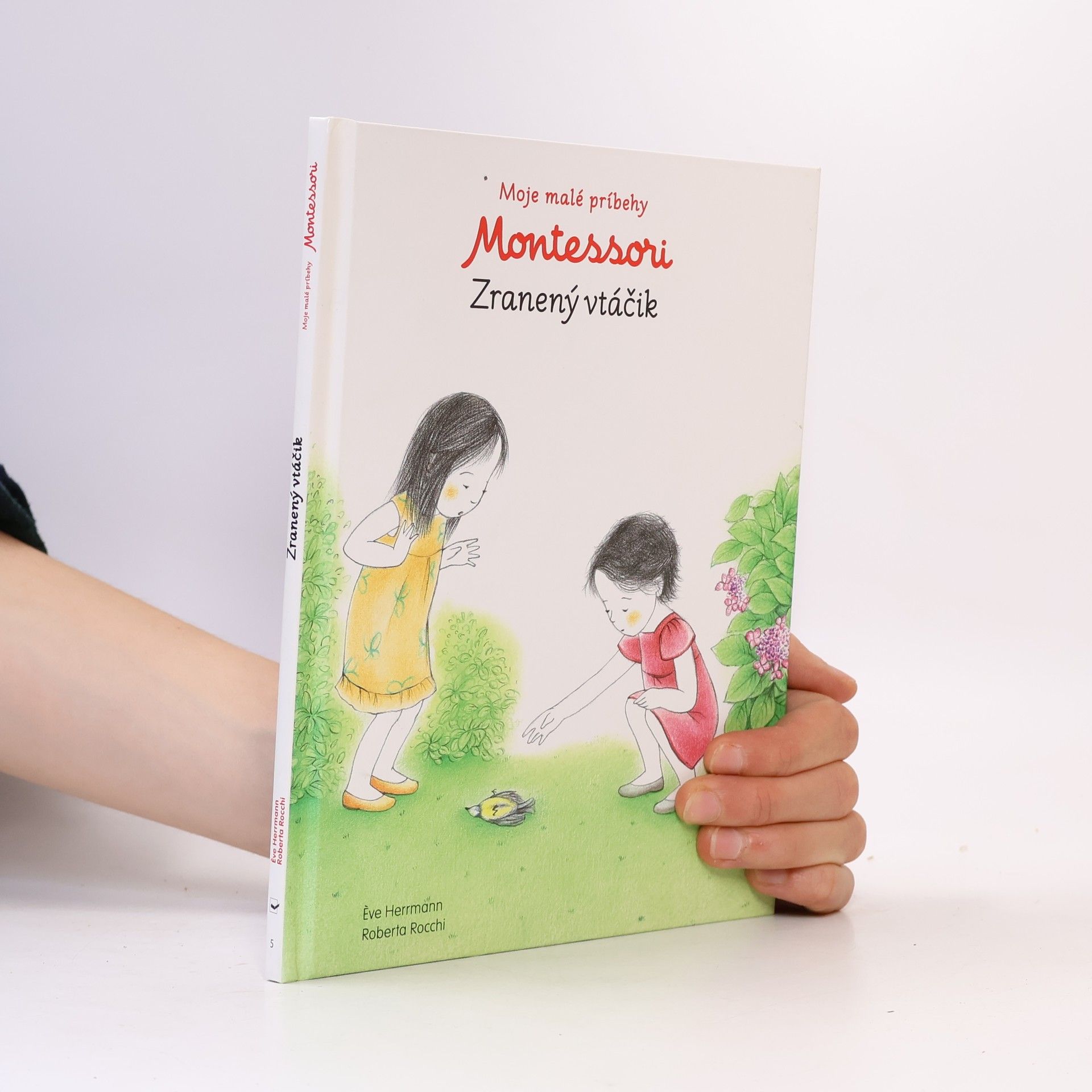 Roberta Rocchi Montessori: Zranený vtáčik