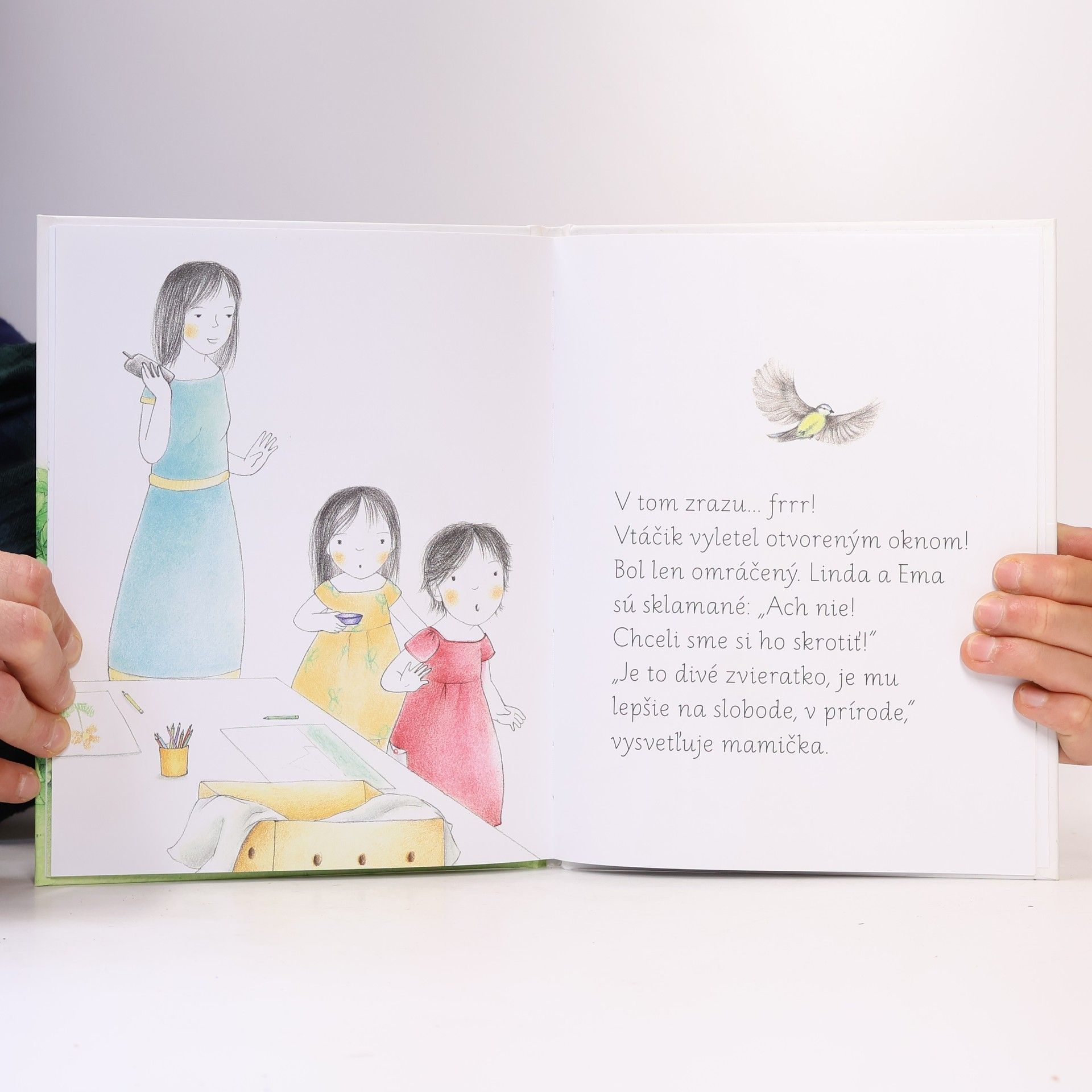 Ève Herrmann Montessori: Zranený vtáčik